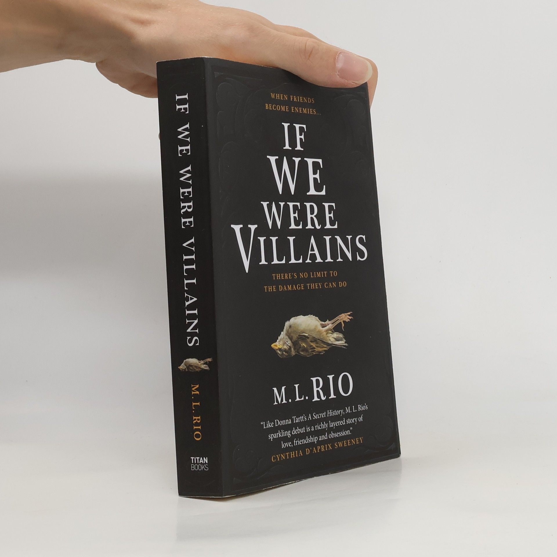 M. L. Rio If We Were Villains