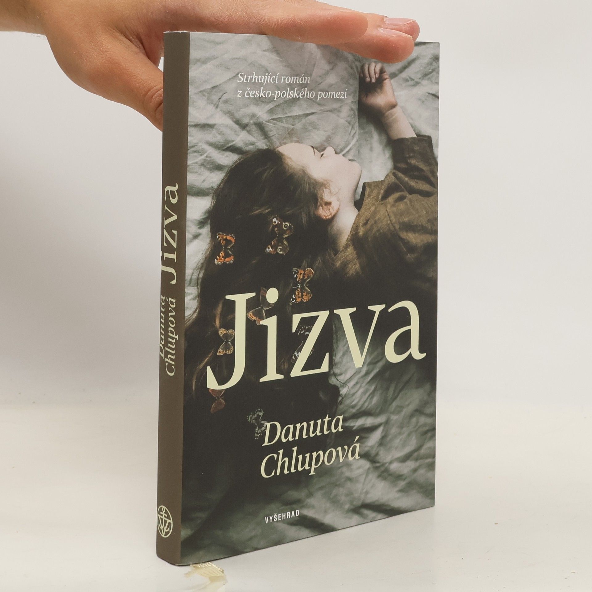 Danuta Chlupová Jizva
