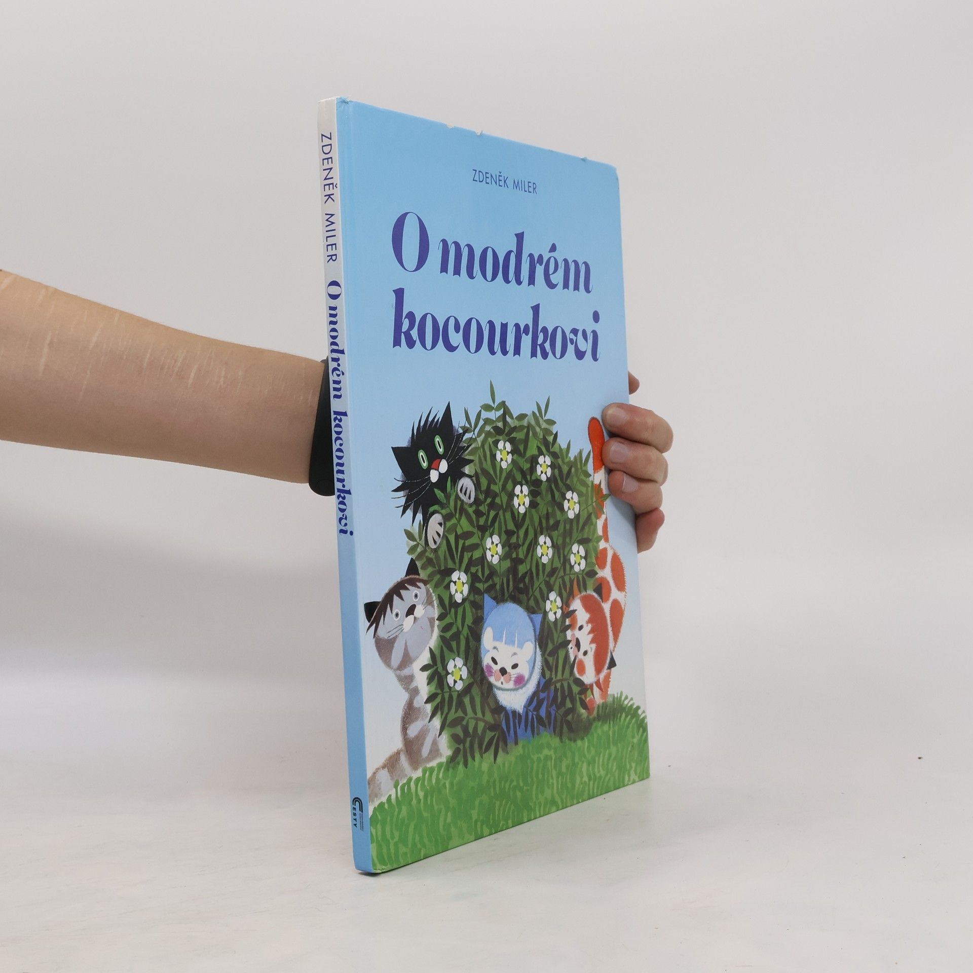 Marika Hellstrom Kennedy O modrém kocourkovi