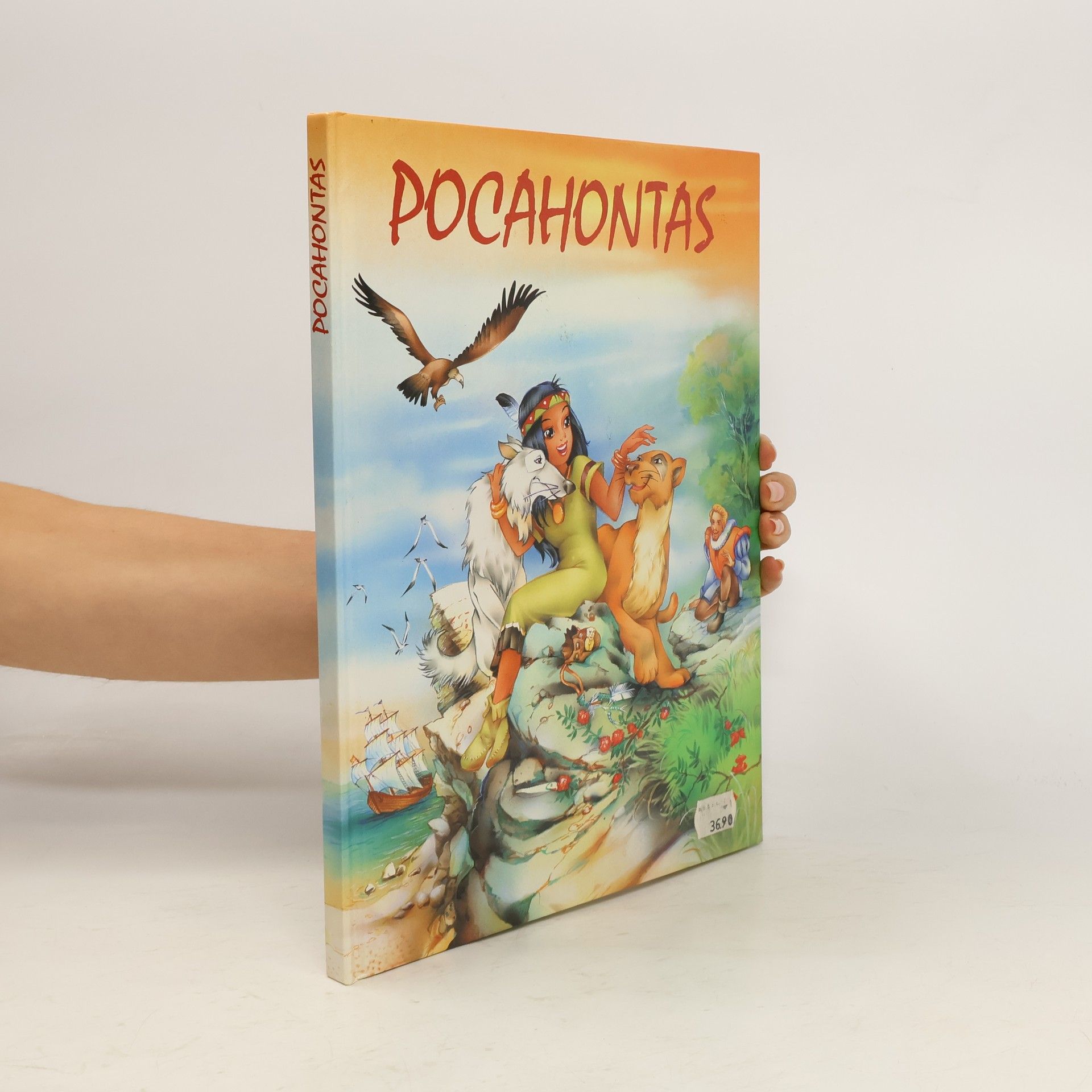 Collectif d'auteurs Pocahontas