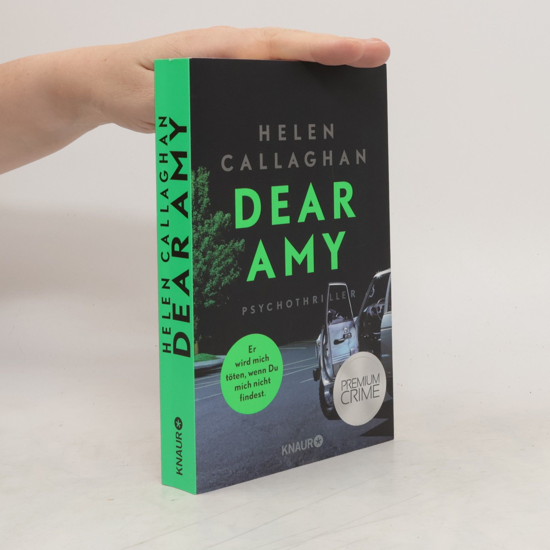 Helen Callaghan Dear Amy