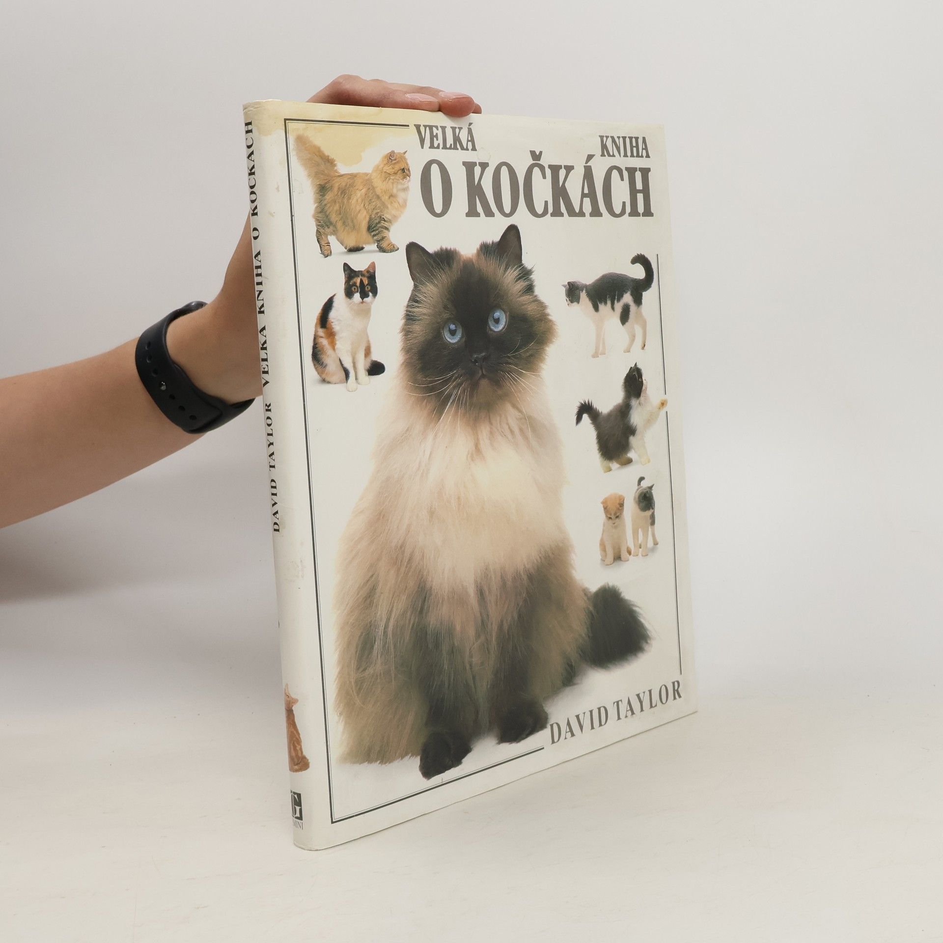 David Conrad Taylor Velká kniha o kočkách