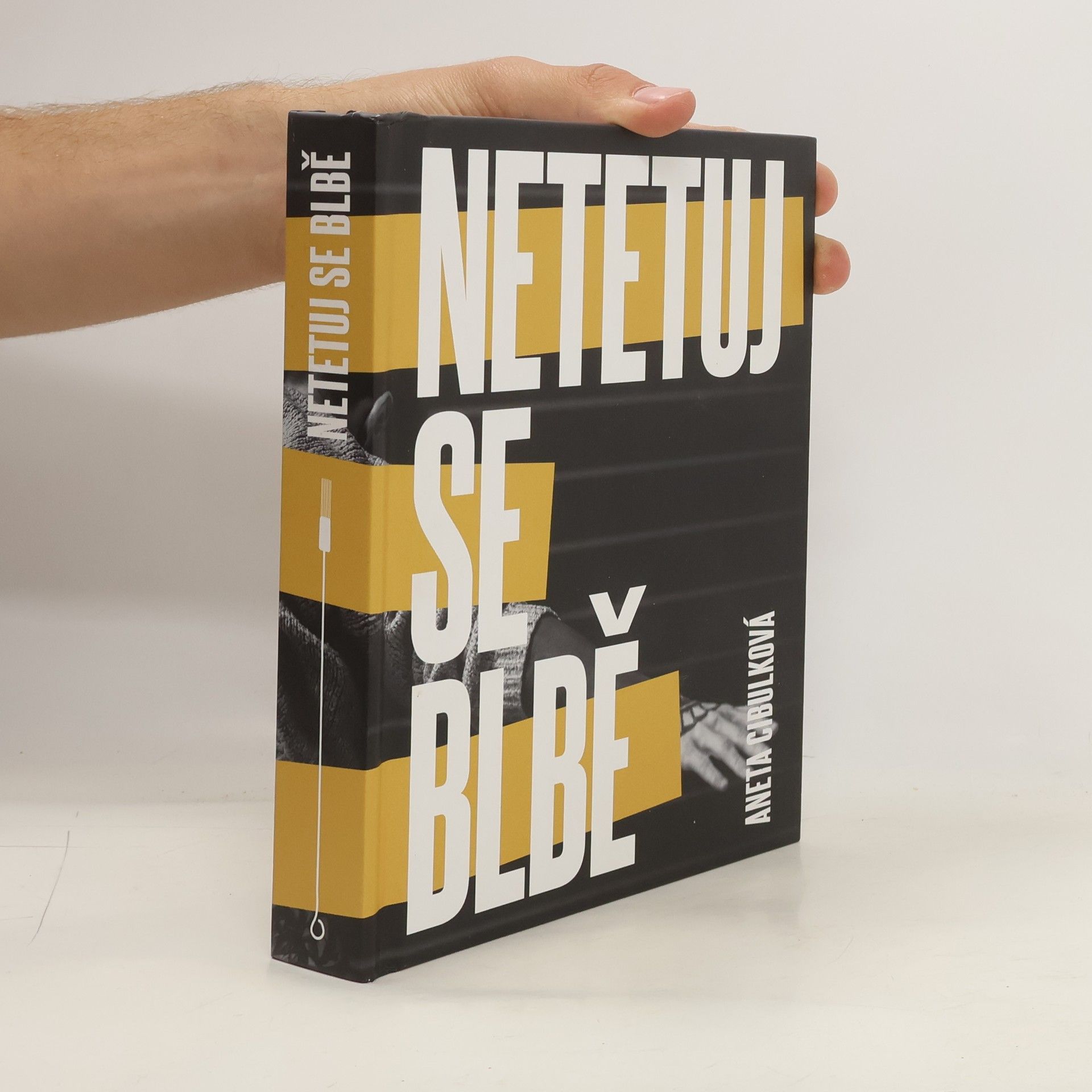 Aneta Cibulková Netetuj se blbě