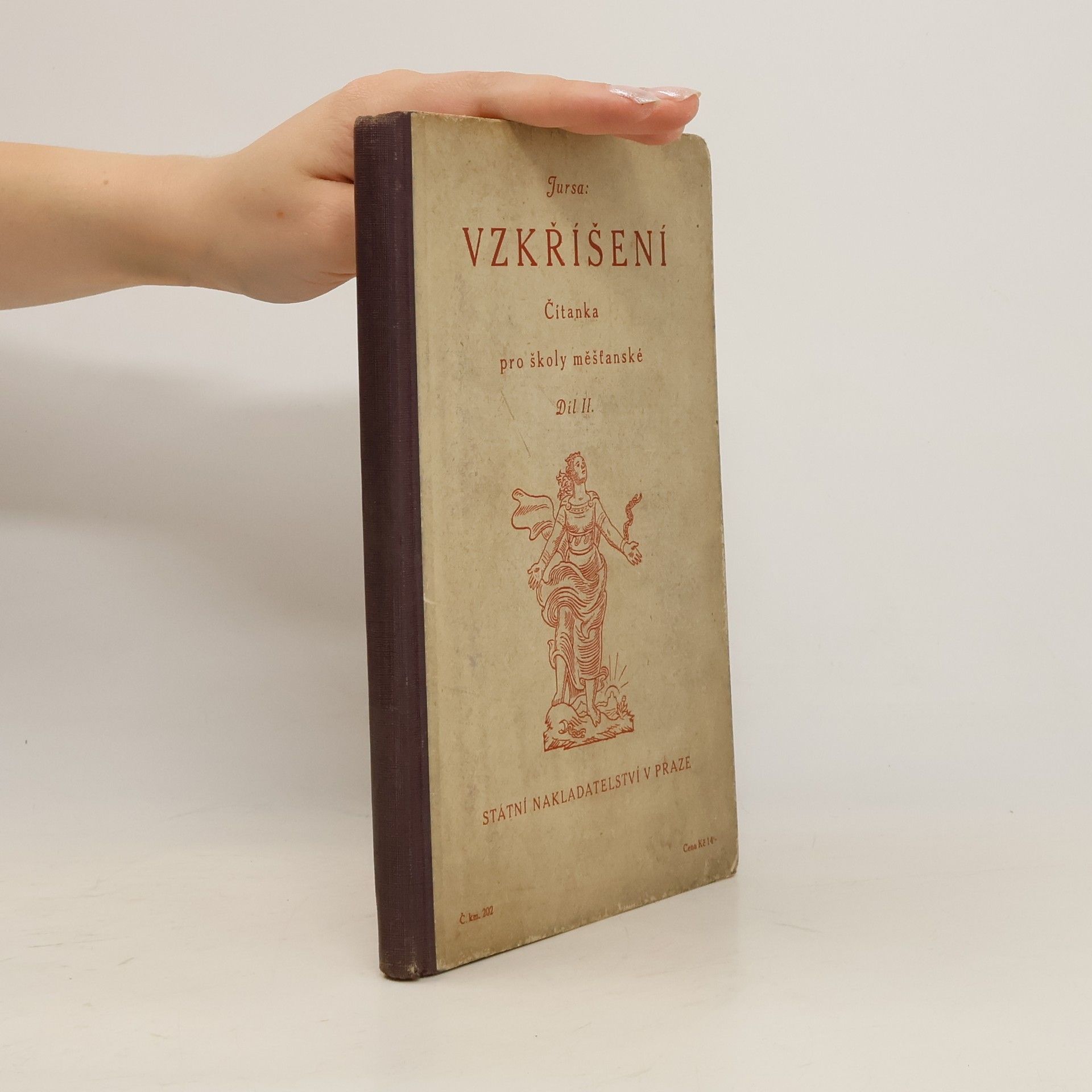 Autorenkollektiv Vzkříšení