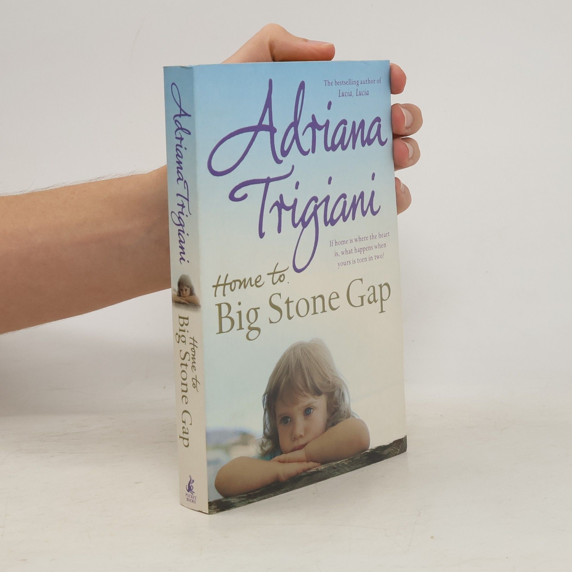 Adriana Trigiani Home to Big Stone Gap