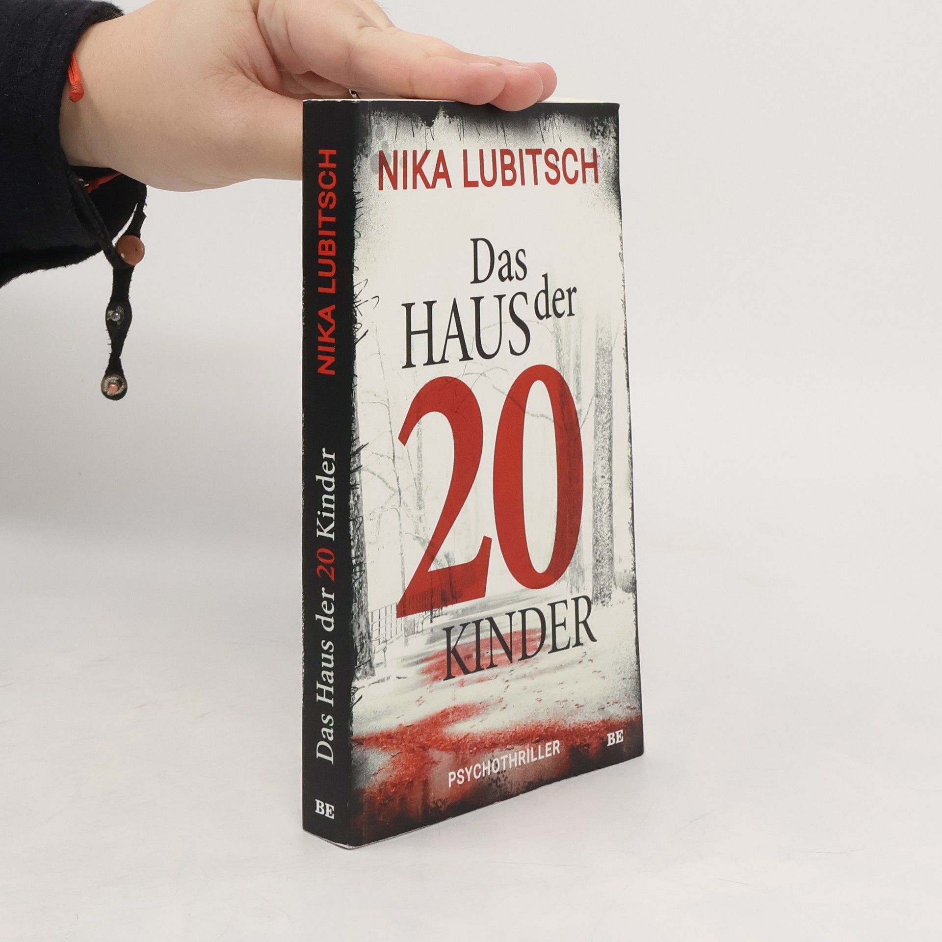 Nika Lubitsch Das Haus der 20 Kinder