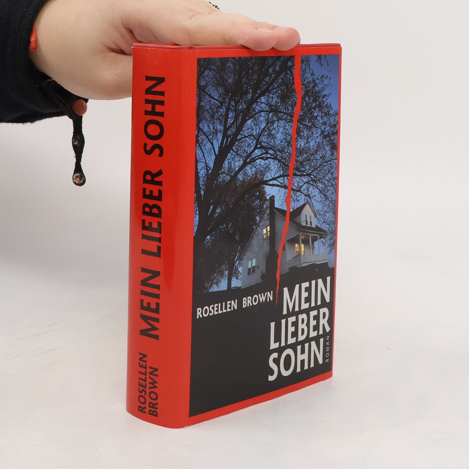 Rosellen Brown Mein lieber Sohn