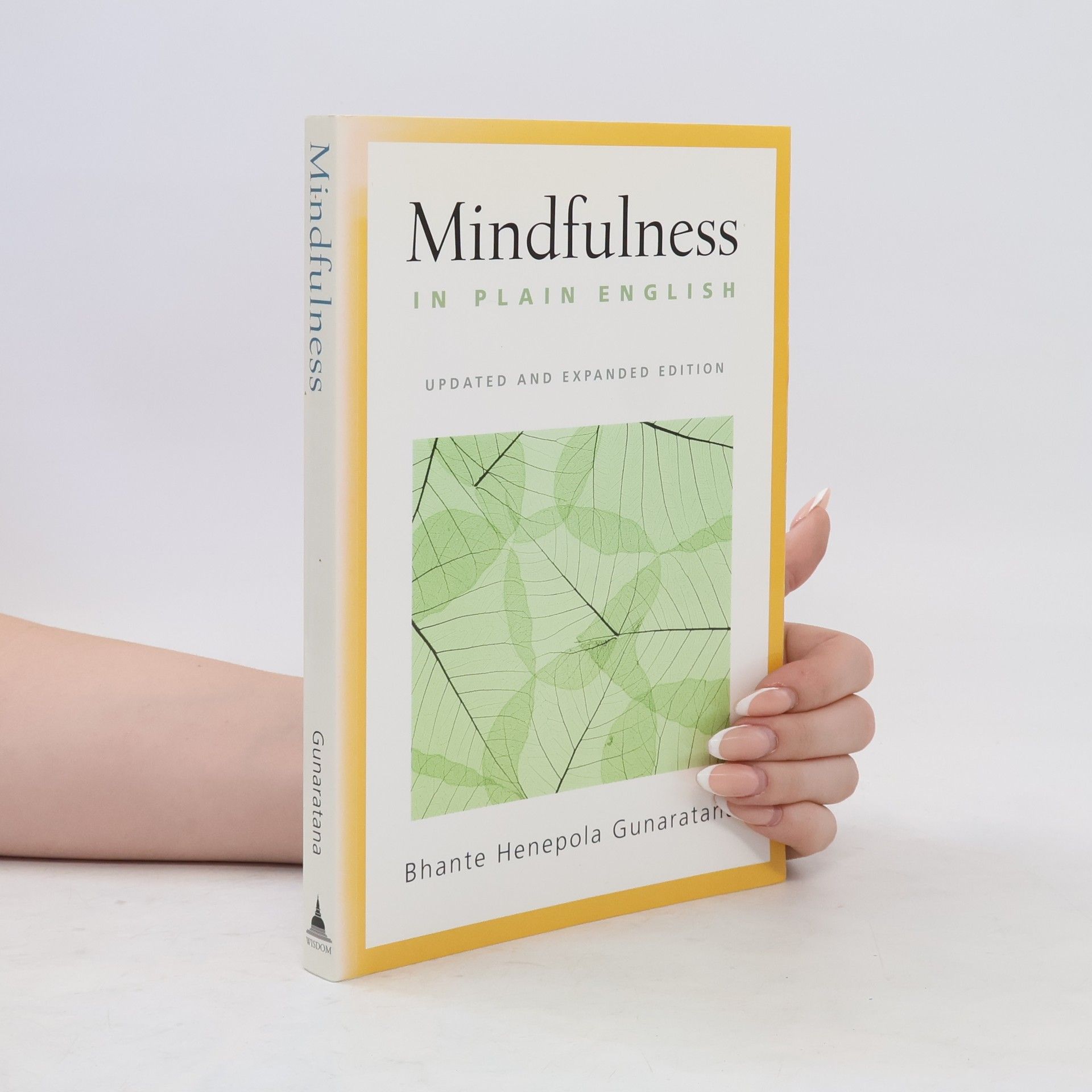 Henepola Gunaratana Mindfulness in Plain English