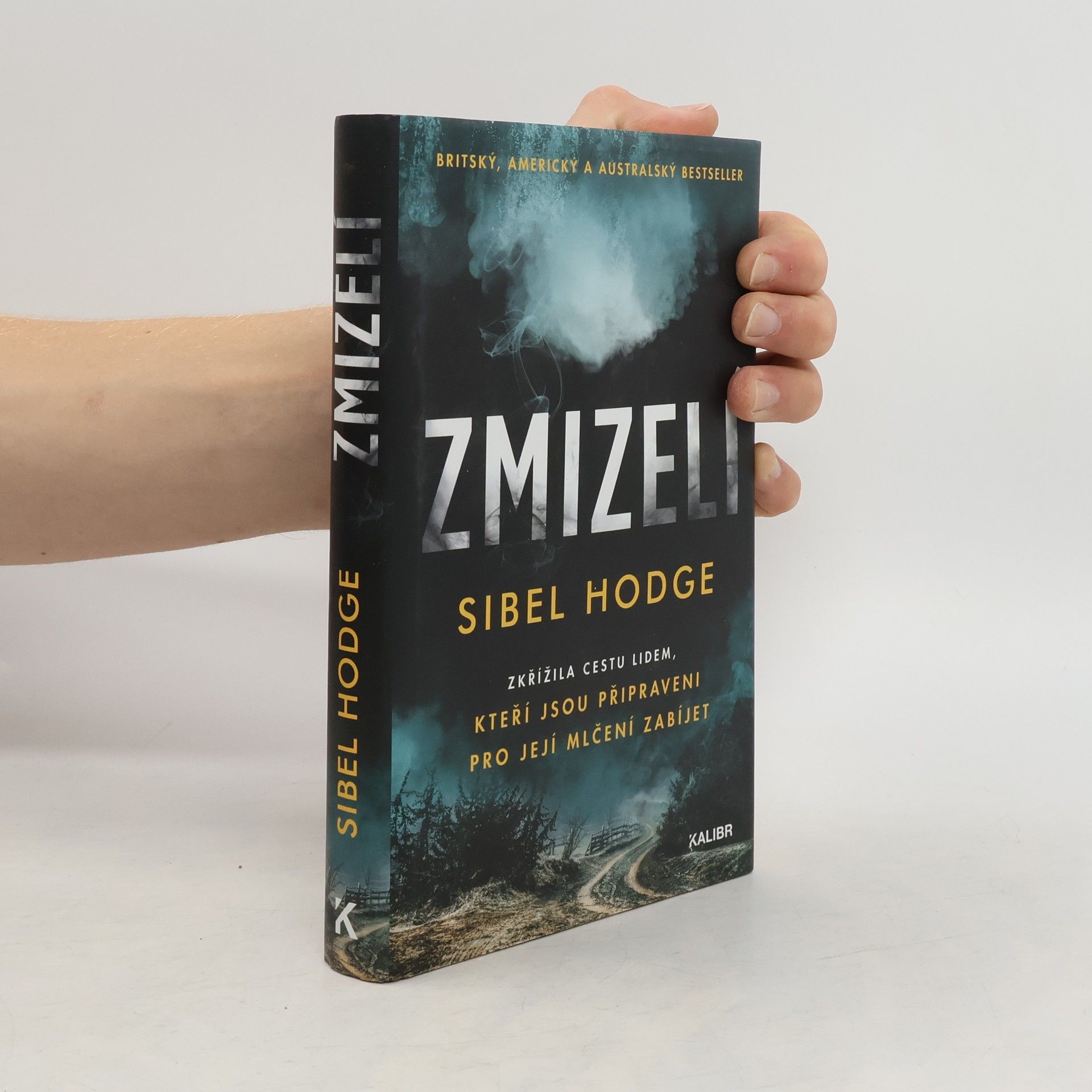 Sibel Hodge Zmizelí