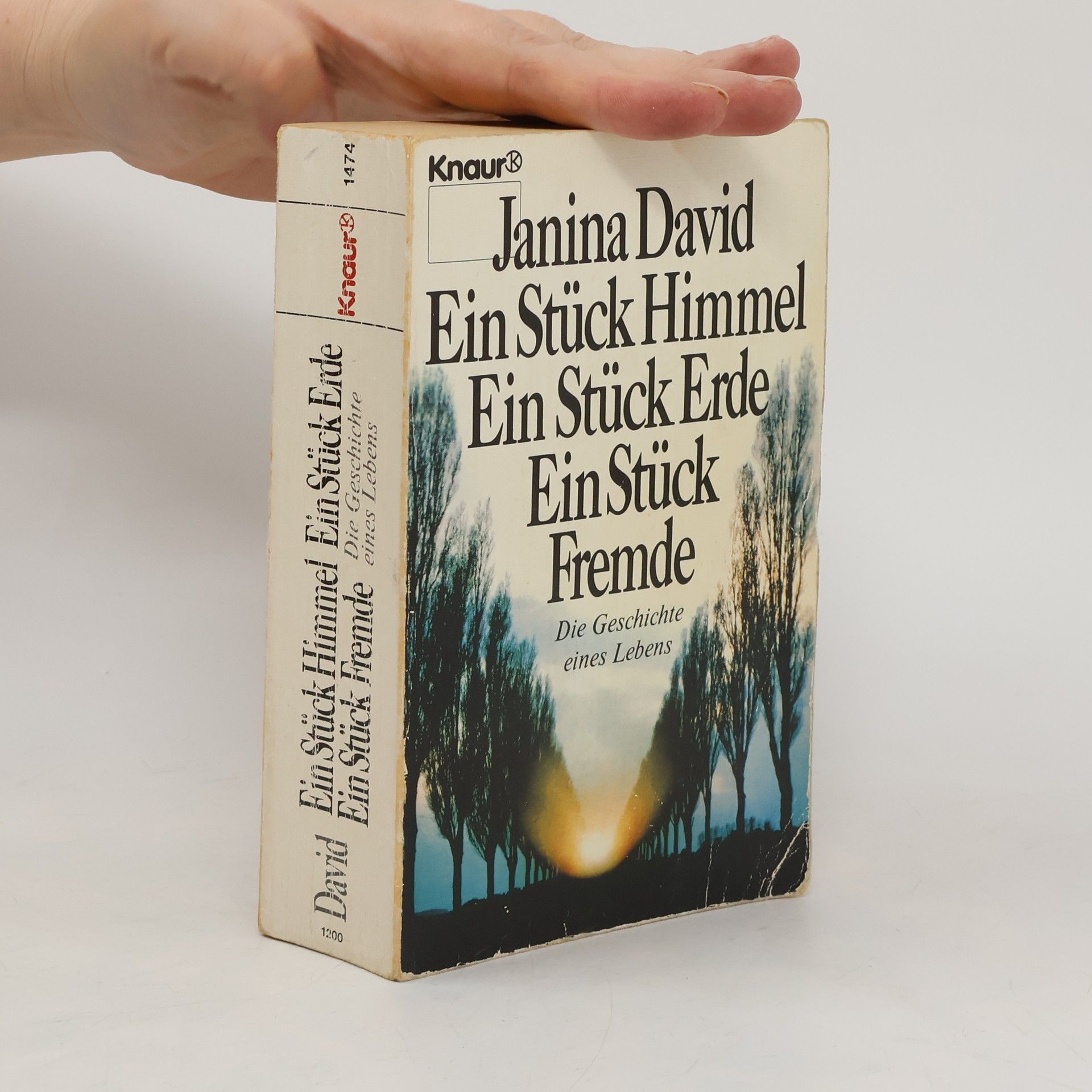 Janina David Ein Stück Himmel