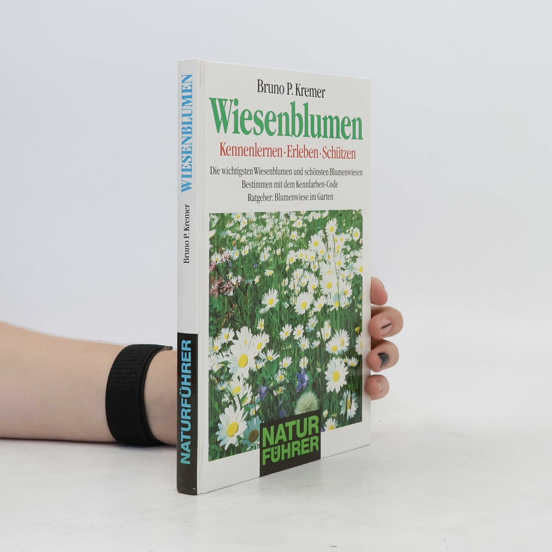 Bruno P. Kremer Wiesenblumen