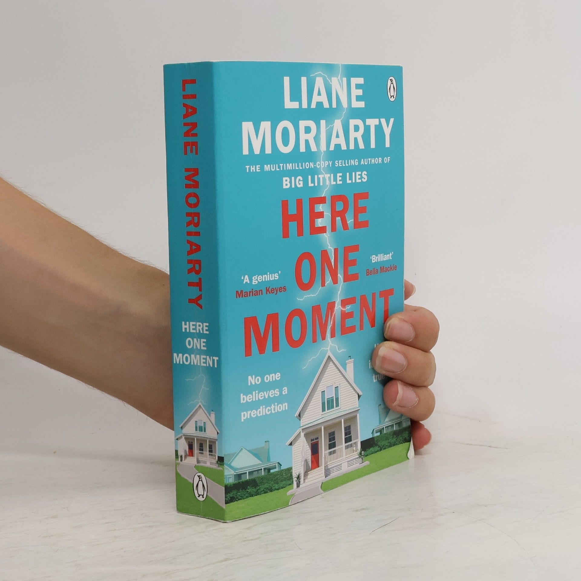 Liane Moriarty Here One Moment