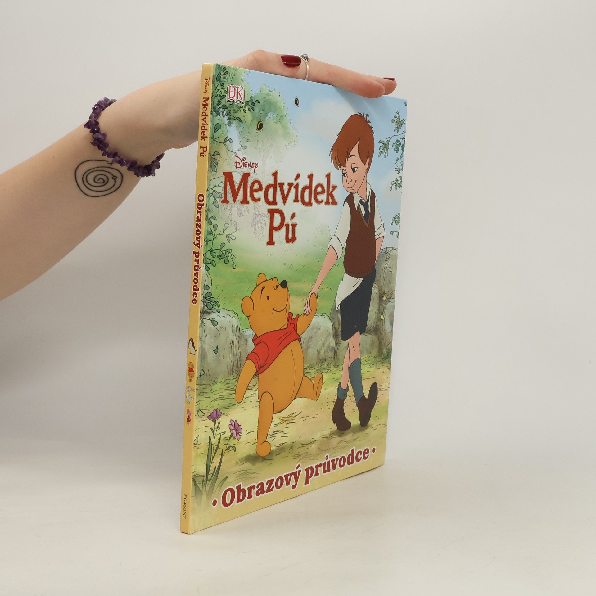 Beth Landis Hester Medvídek Pú - Obrazový průvodce