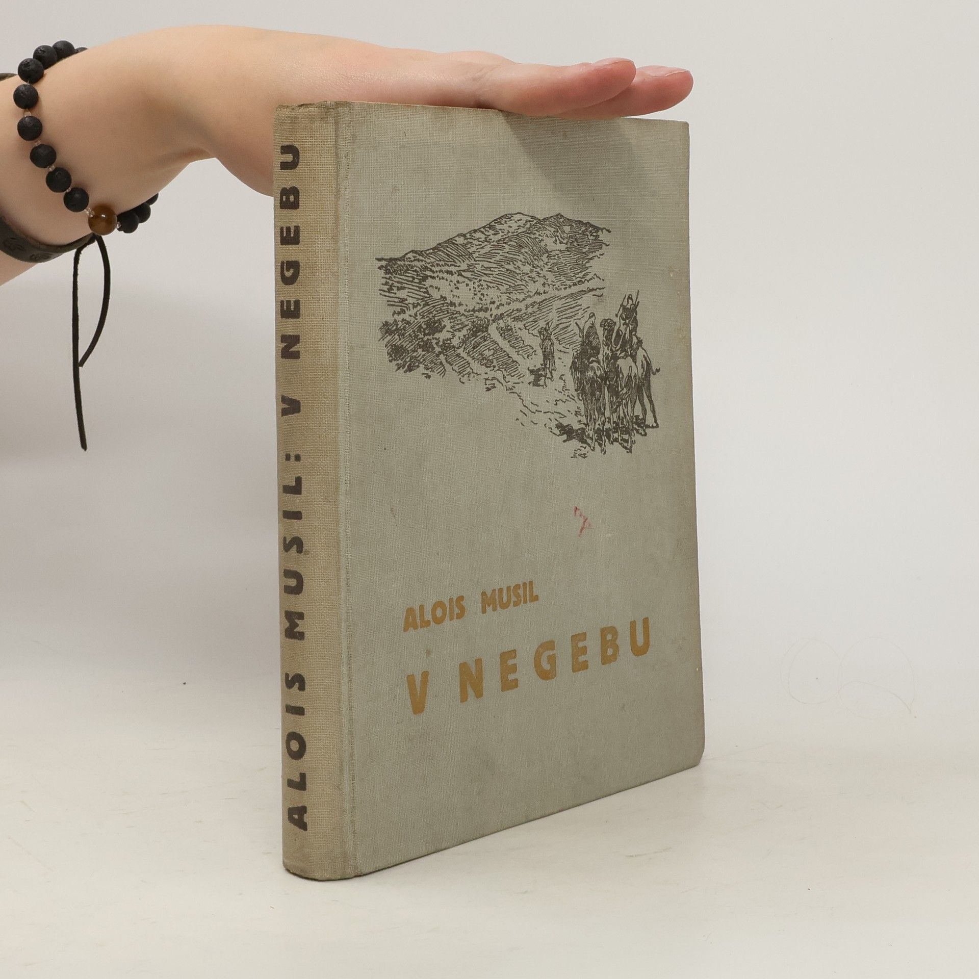 Alois Musil V Negebu