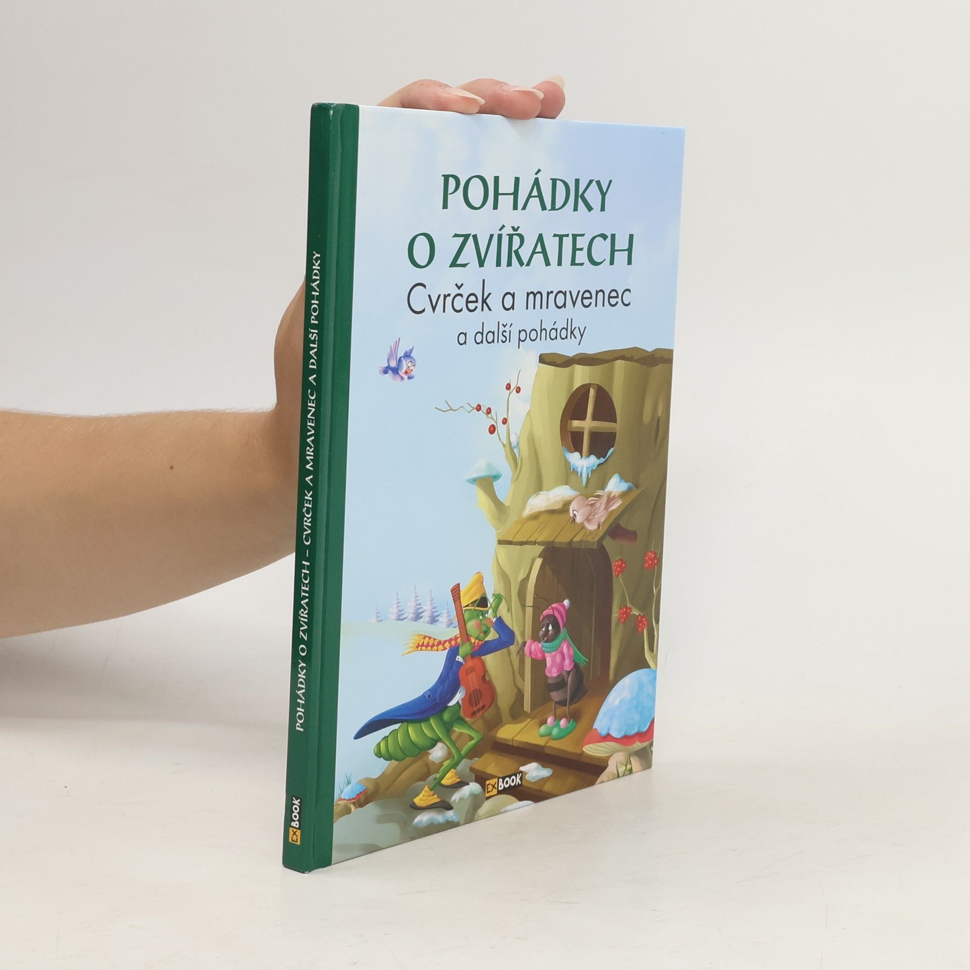 Collectif d'auteurs Červená Karkulka a další pohádky
