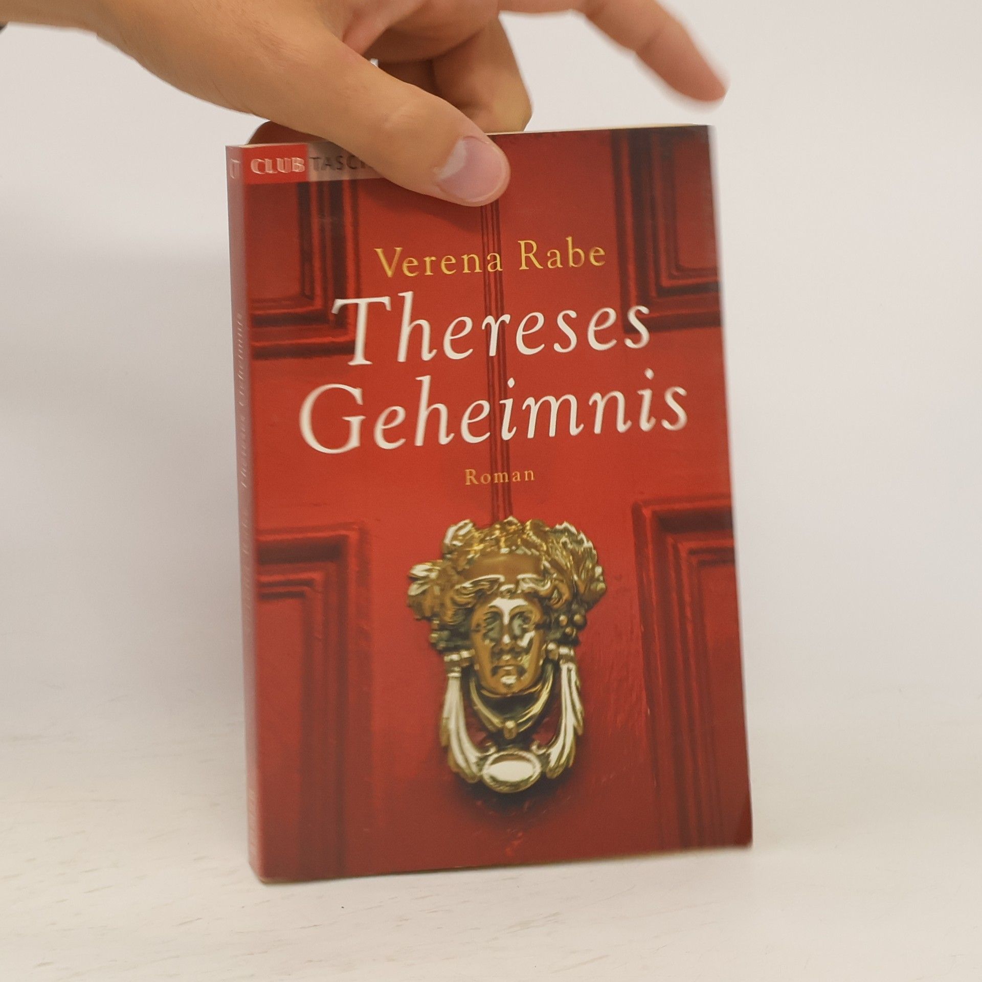 Verena Rabe Thereses Geheimnis