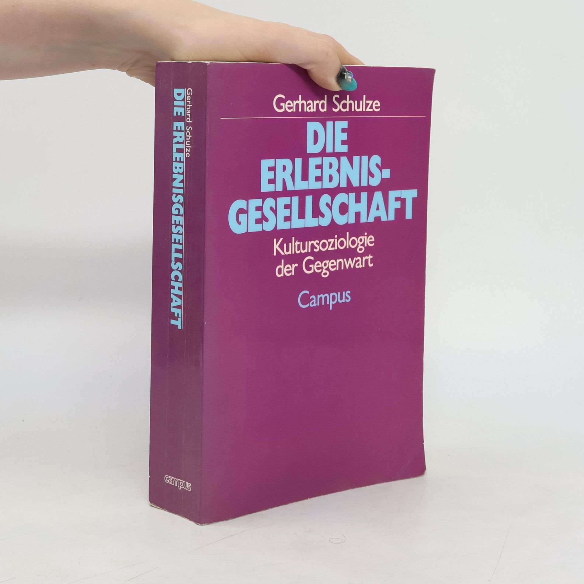 Gerhard Schulze Die Erlebnisgesellschaft