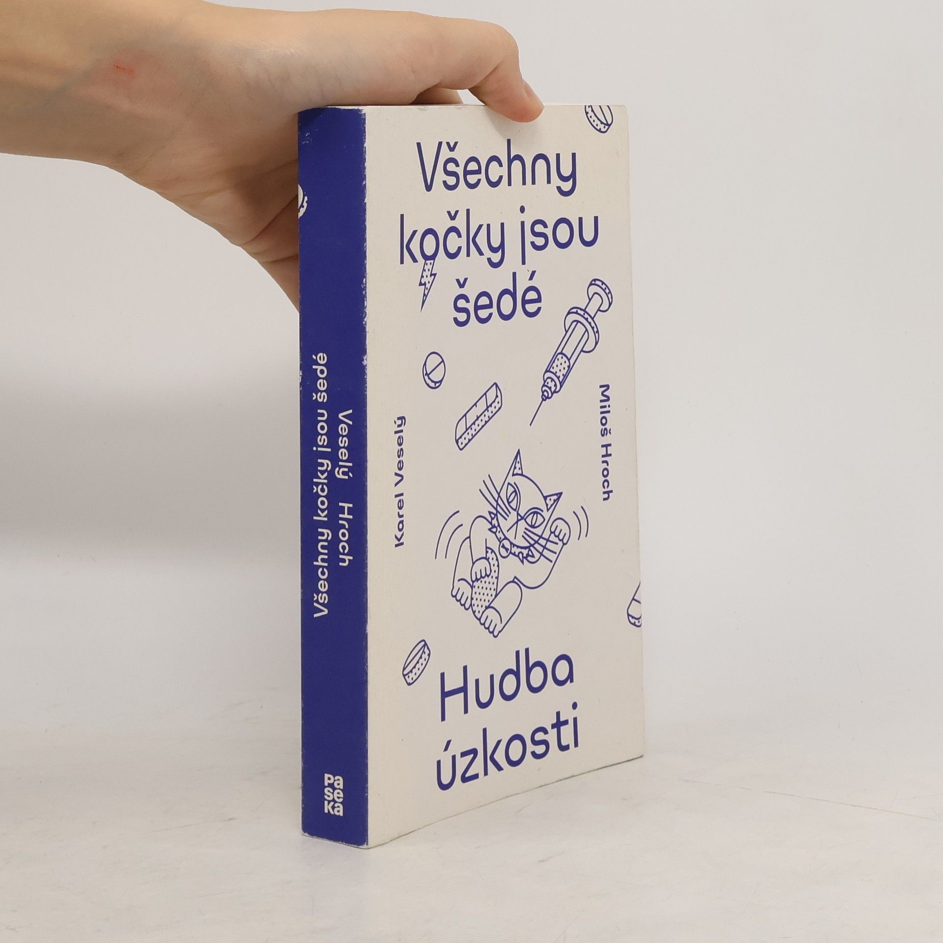 Karel Veselý Všechny kočky jsou šedé