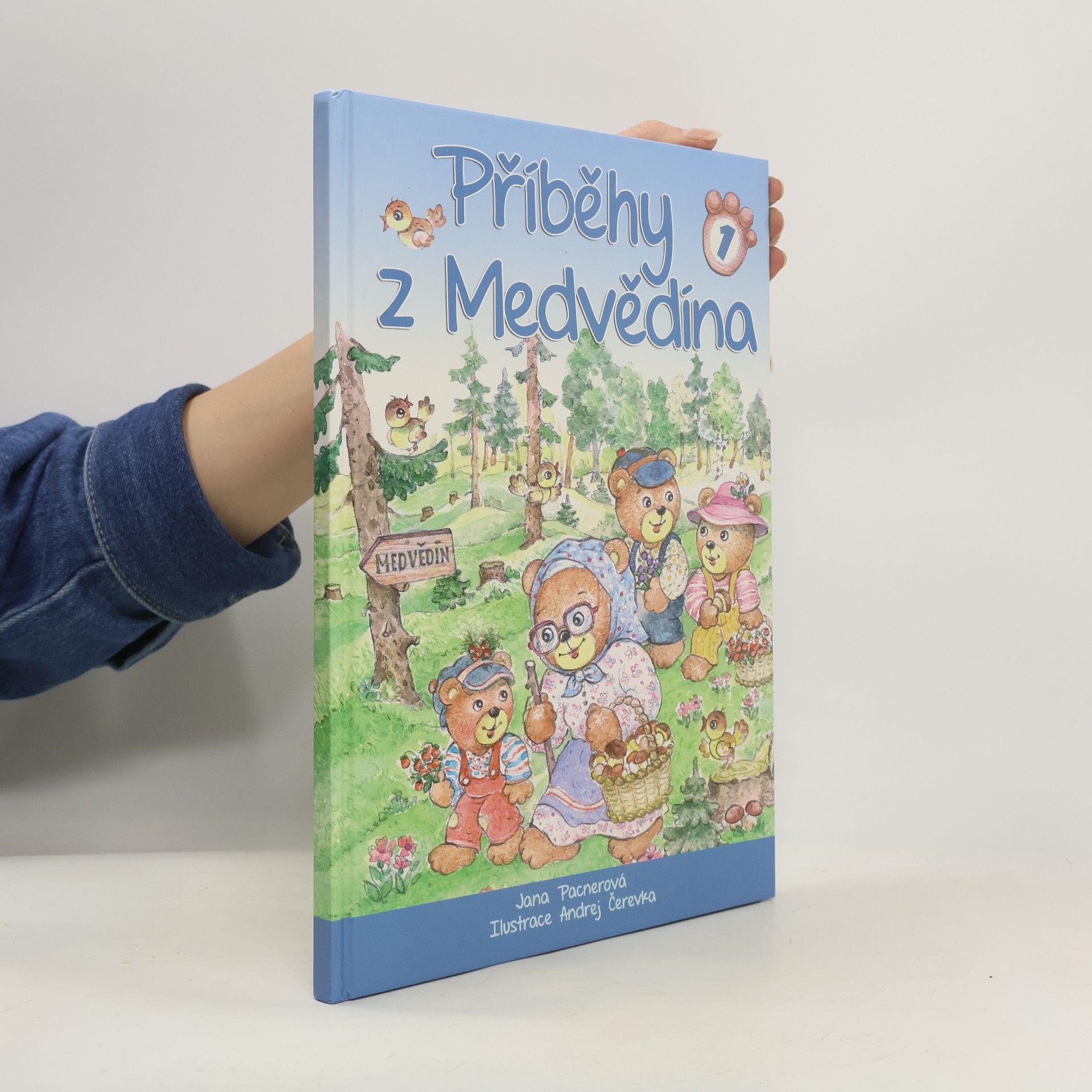 Jana Pacnerová Příběhy z Medvědína. 1