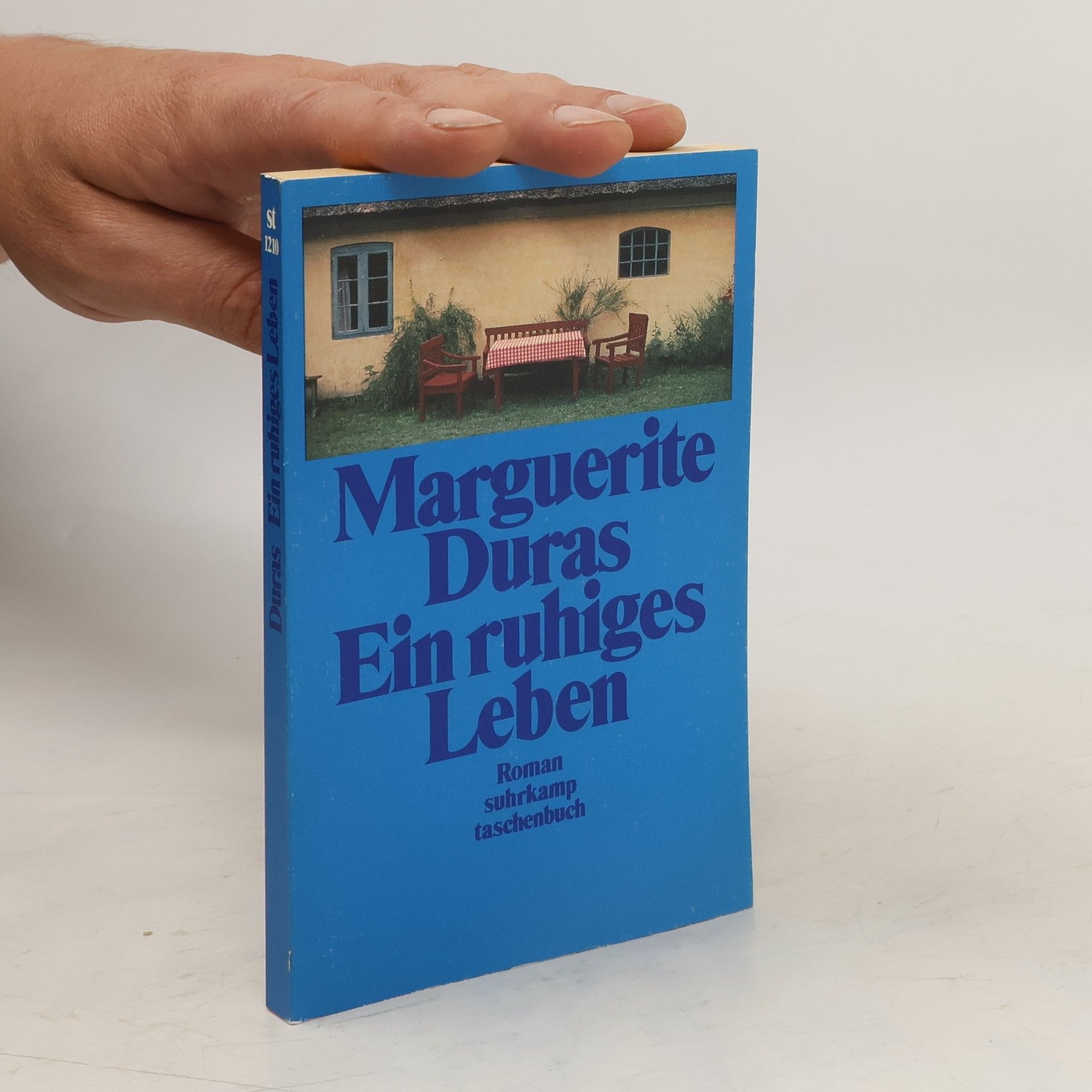 Marguerite Duras Ein ruhiges Leben. Roman