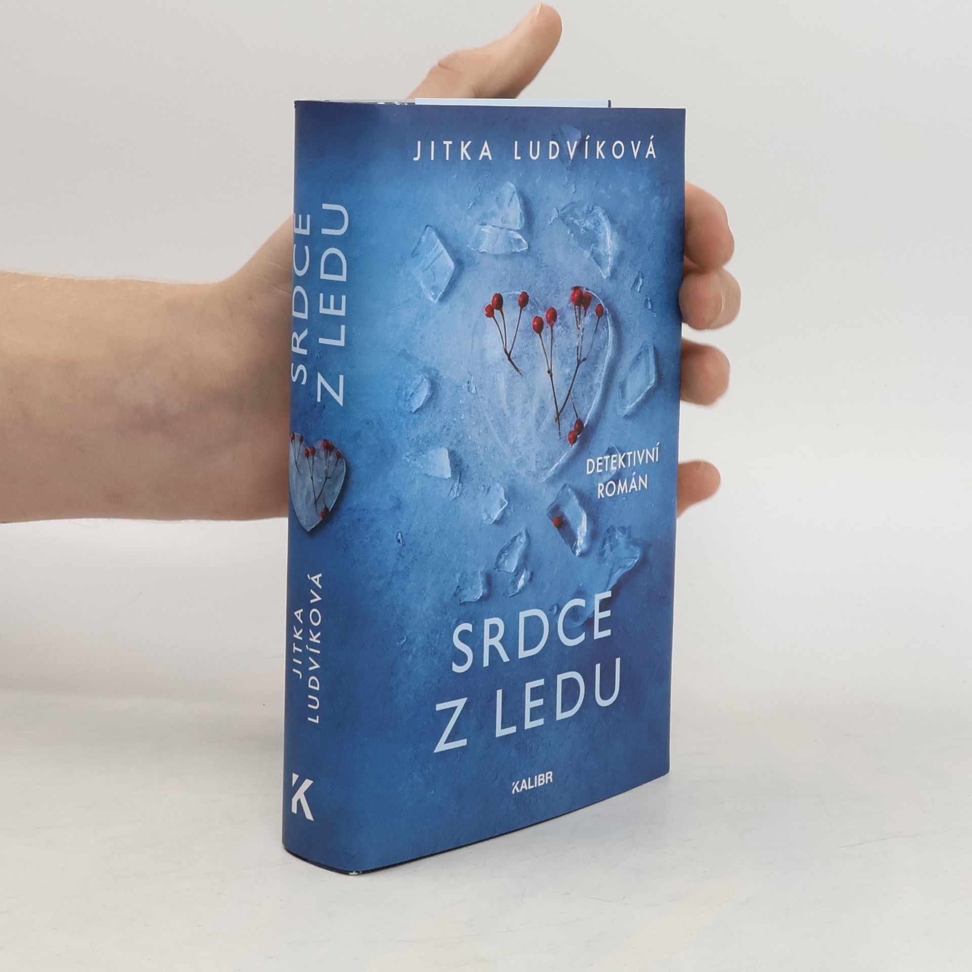 Jitka Ludvíková Srdce z ledu