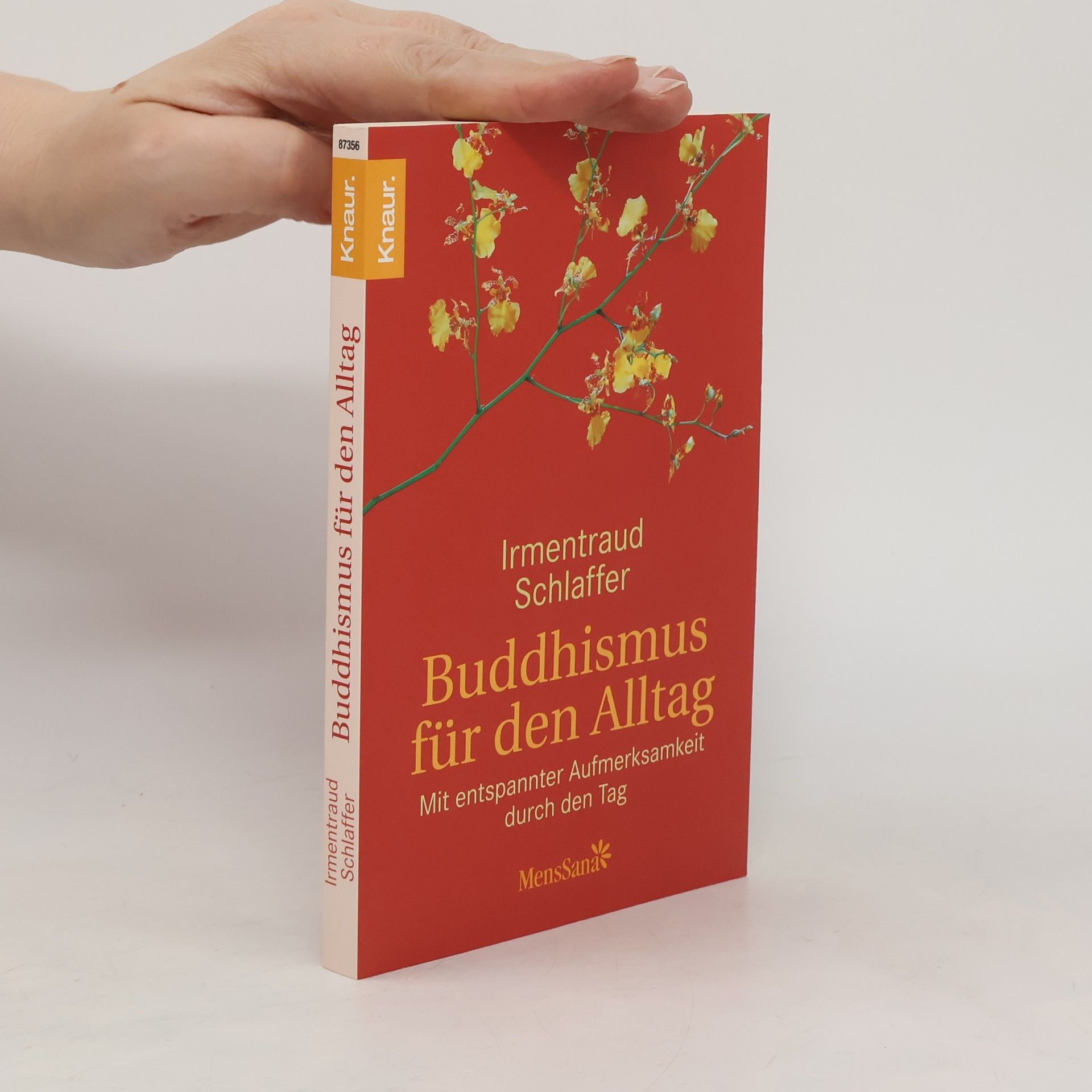 Irmentraud Schlaffer Buddhismus für den Alltag