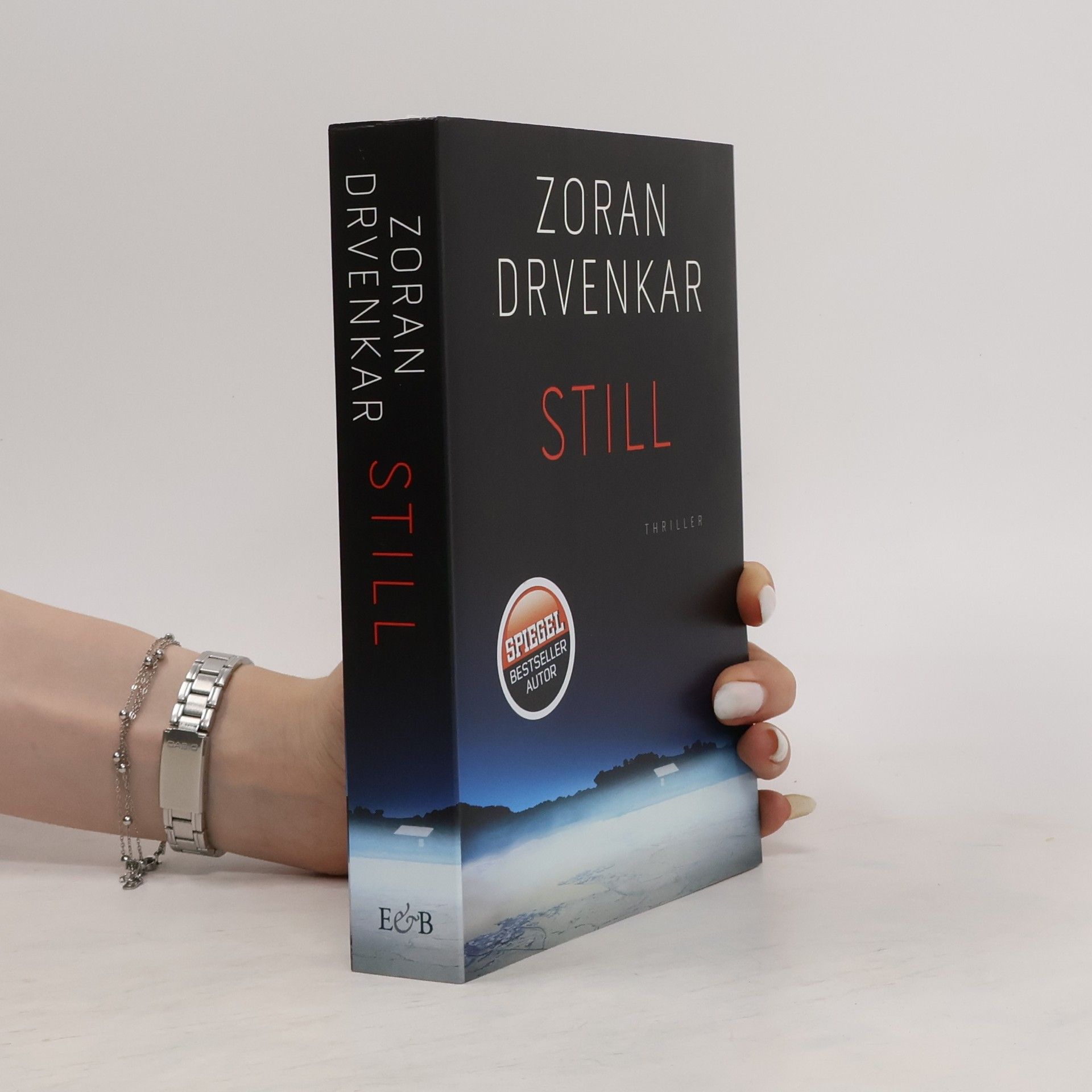 Zoran Drvenkar Still