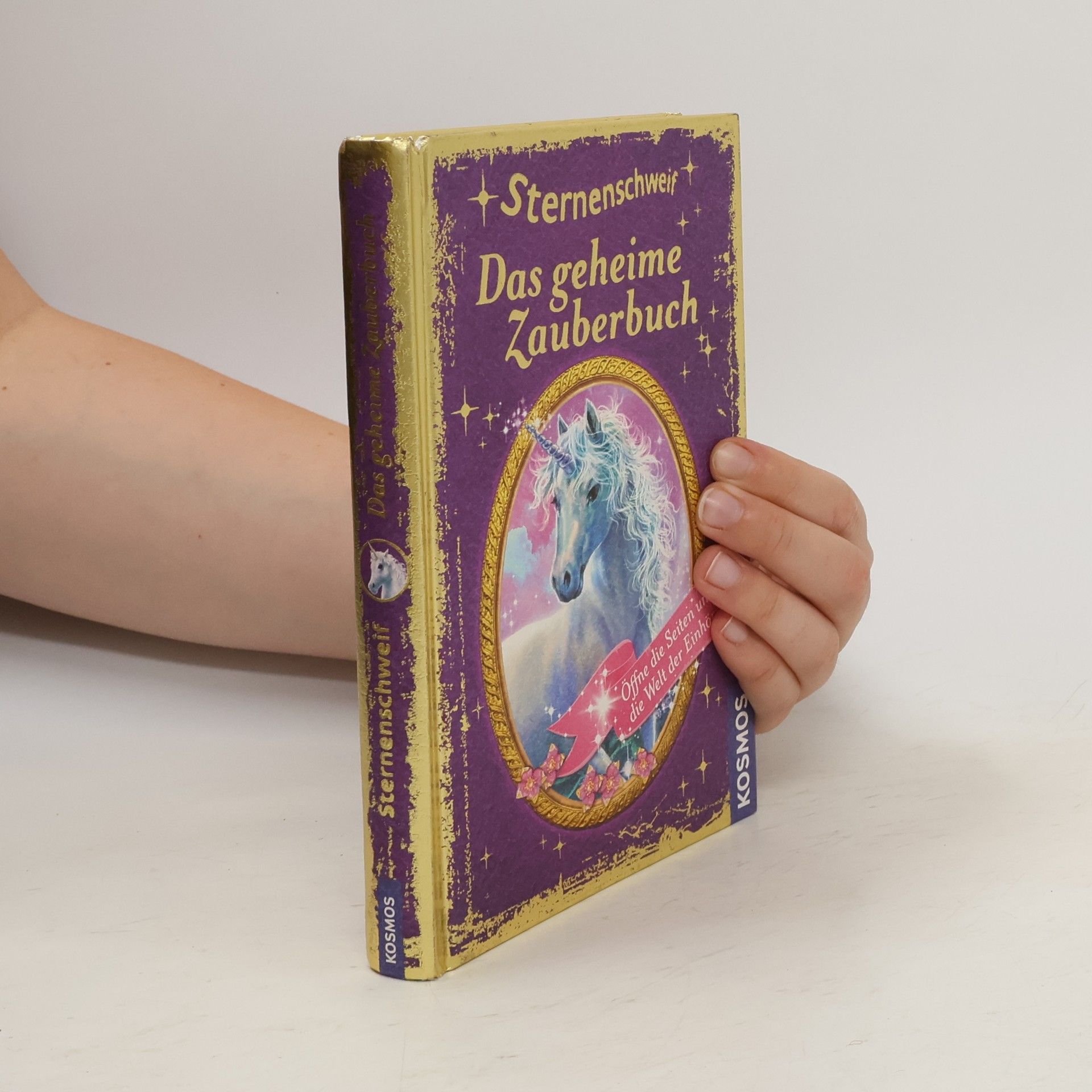 Carolin Ina Schröter Sternenschweif - das geheime Zauberbuch