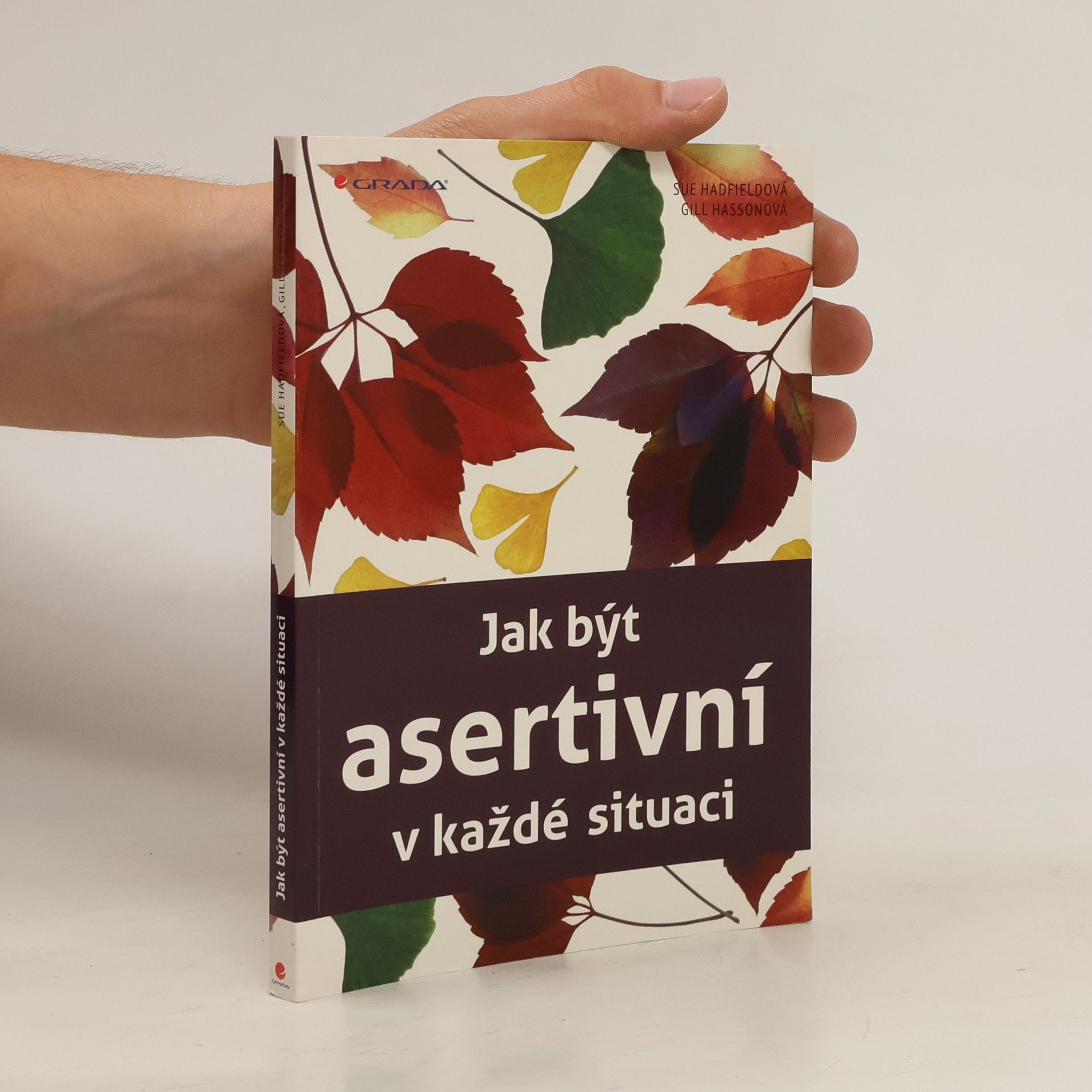 kolektiv Jak být asertivní v každé situaci