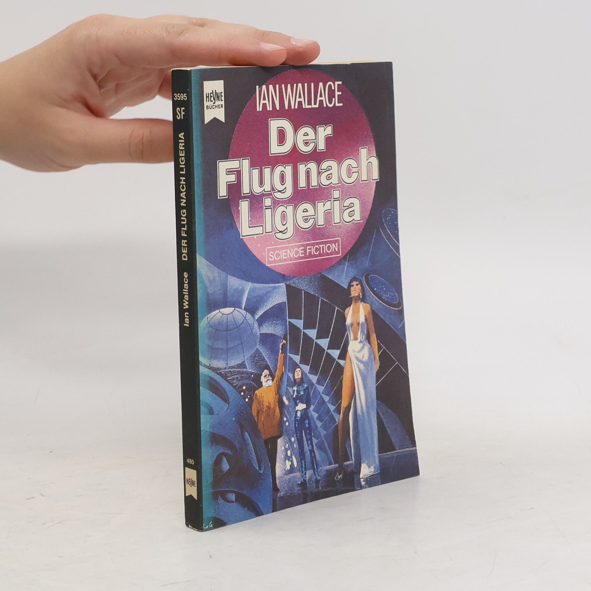 Ian Wallace Der Flug nach Ligeria