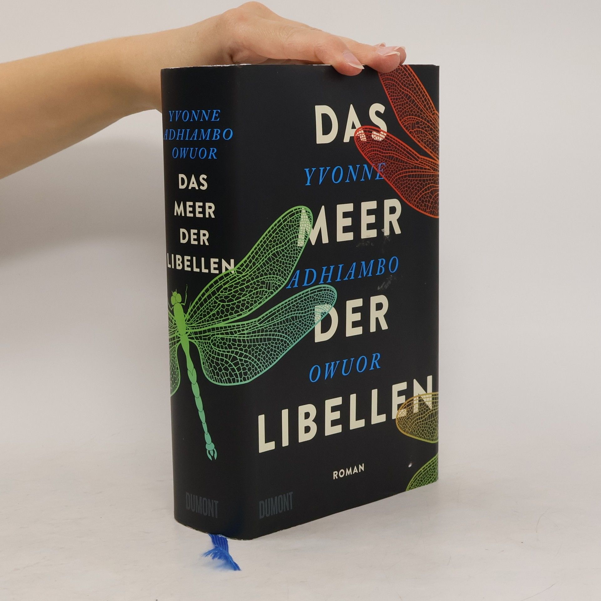 Yvonne Adhiambo Owuor Das Meer der Libellen