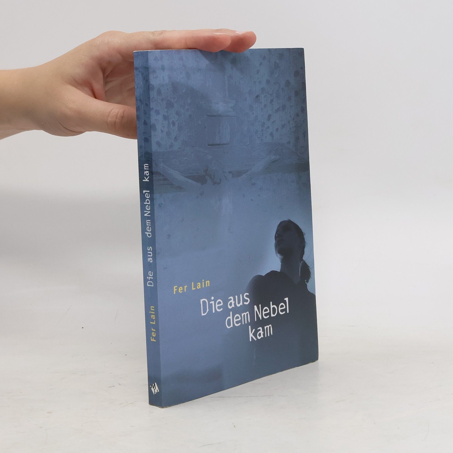 Feri Lainšček Die aus dem Nebel kam