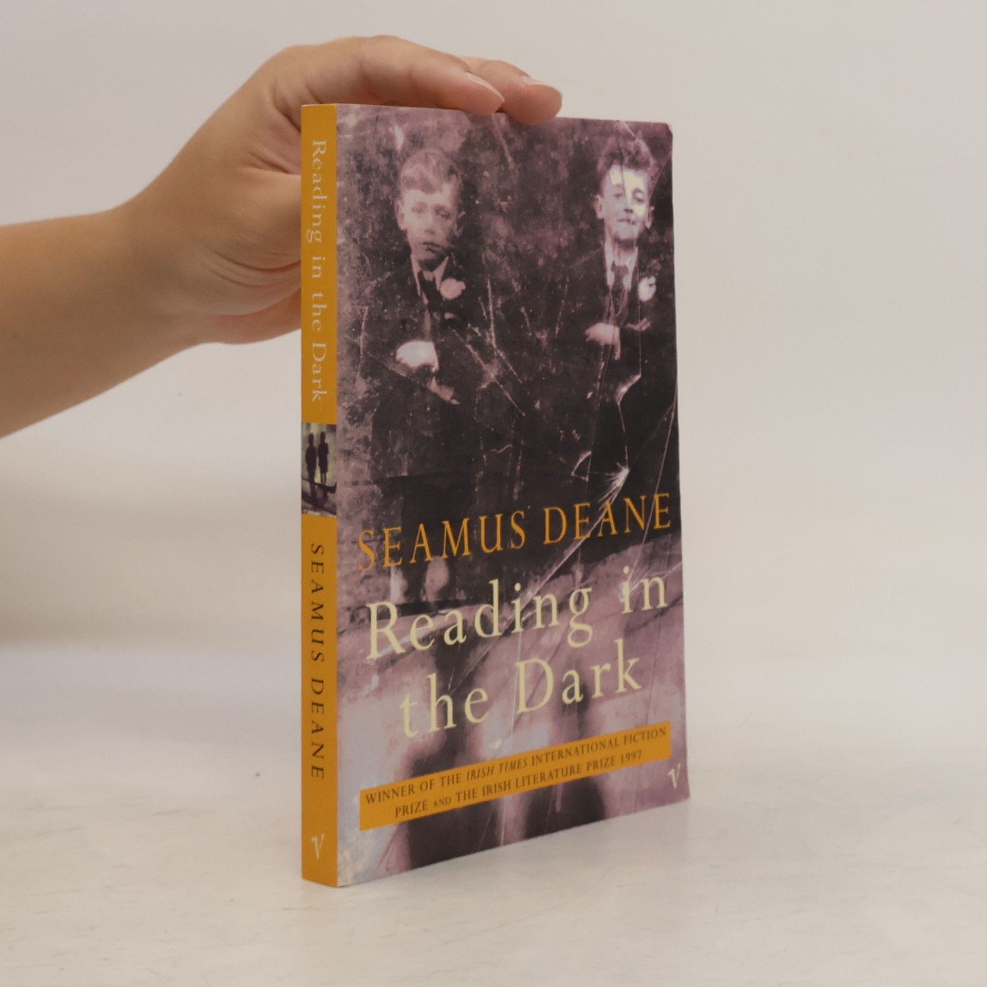Seamus Deane Reading in the dark