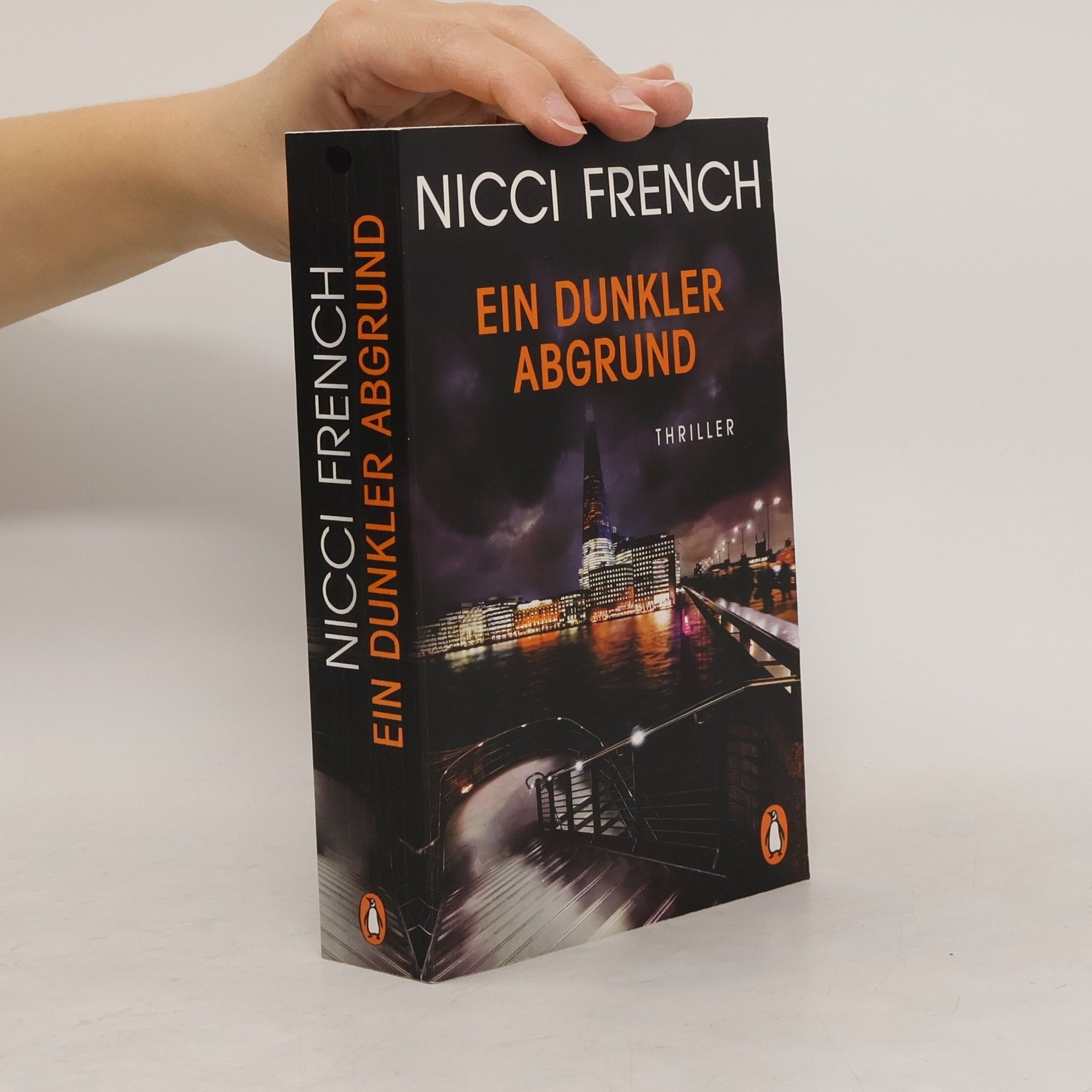 Nicci French Ein dunkler Abgrund