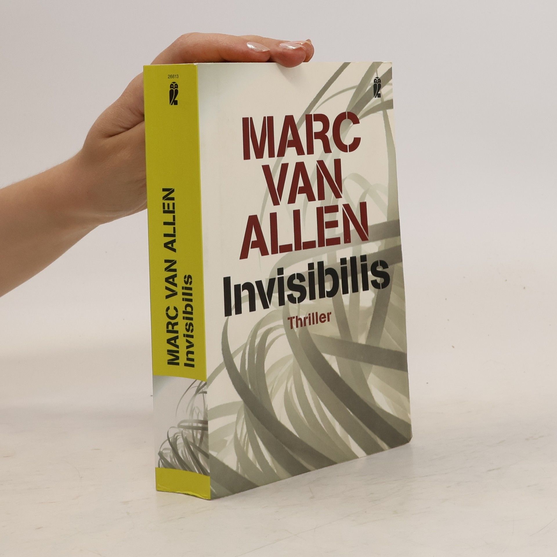 Marc van Allen Invisibilis