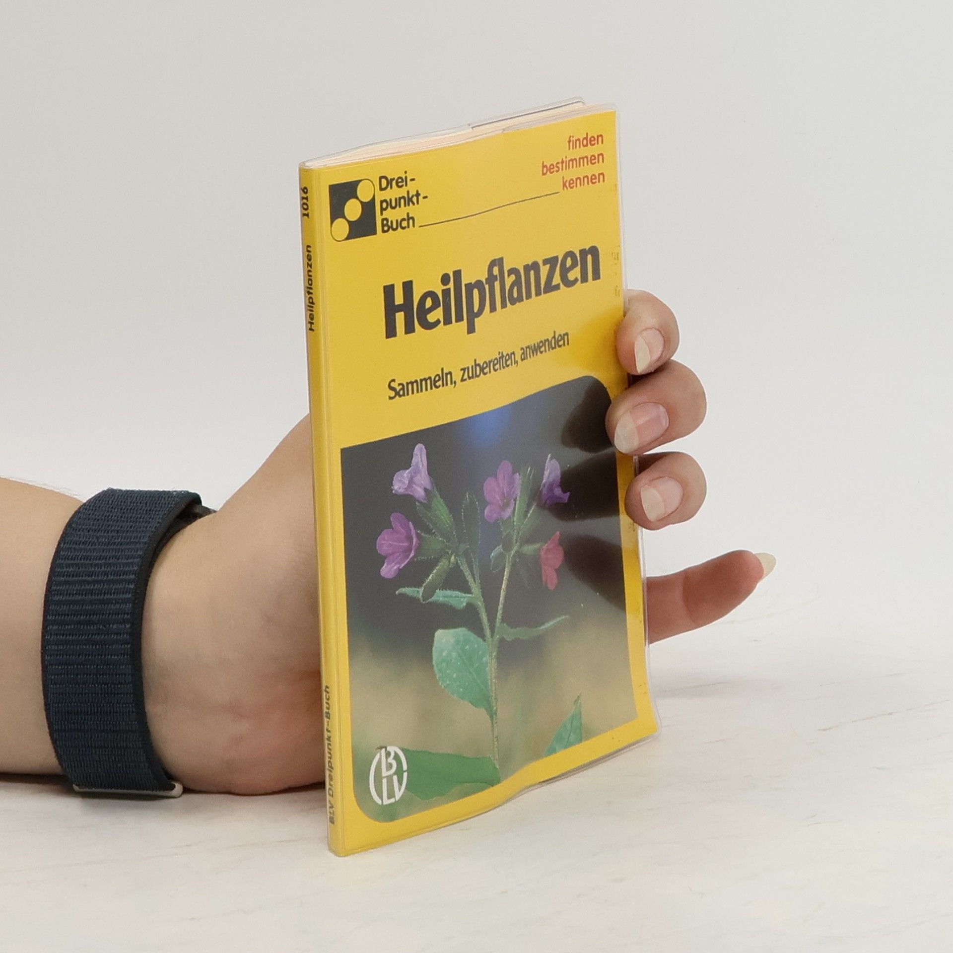 Ute E. Zimmer Heilpflanzen