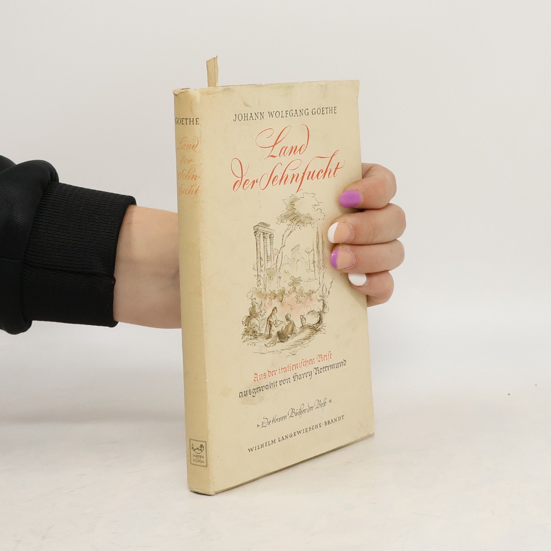 Johann Wolfgang von Goethe Land der Sehnsucht