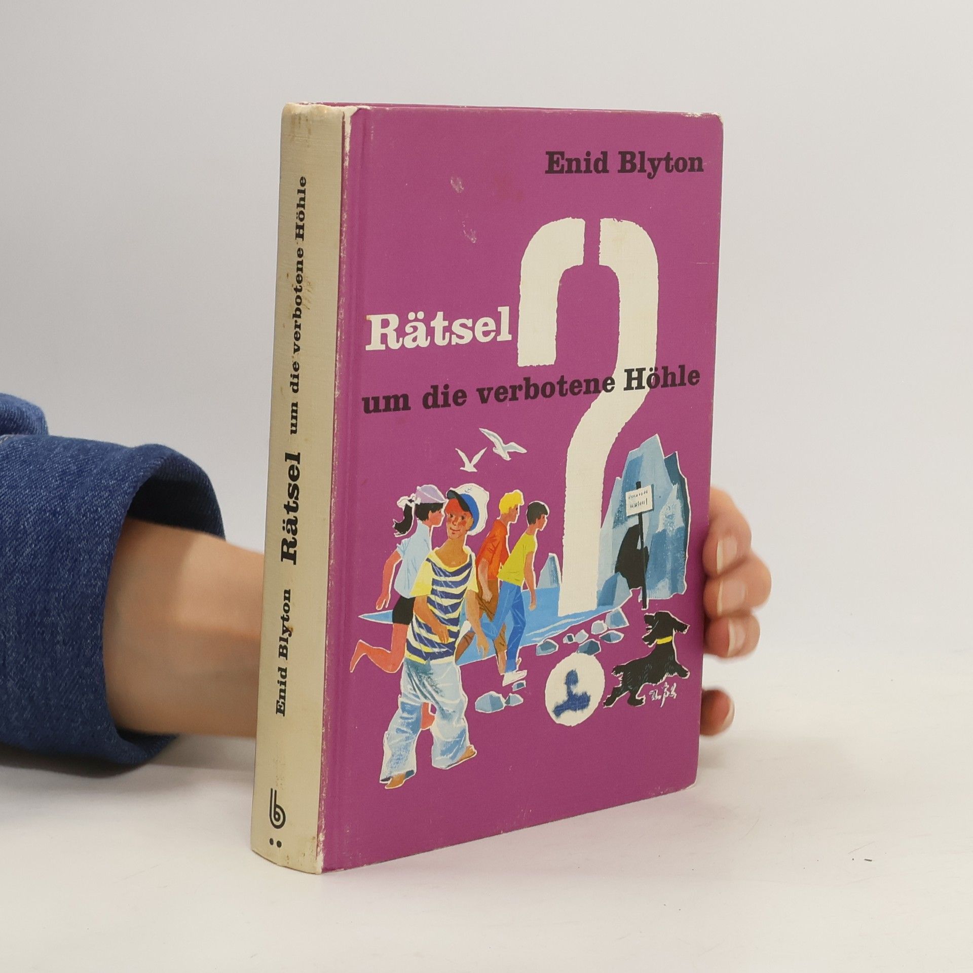 Enid Blyton Rätsel um die verbotene Höhle
