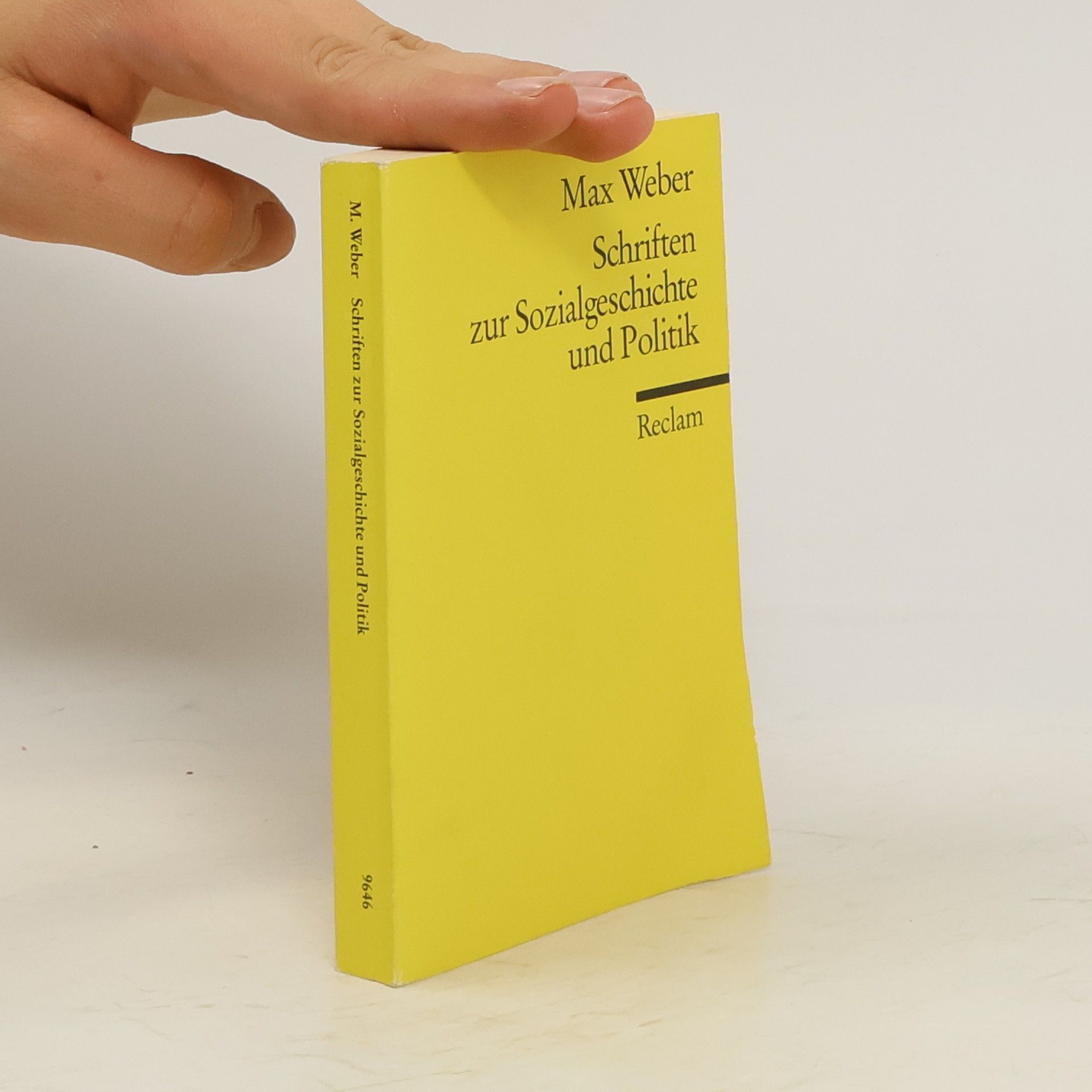 Max Weber Schriften zur Sozialgeschichte und Politik