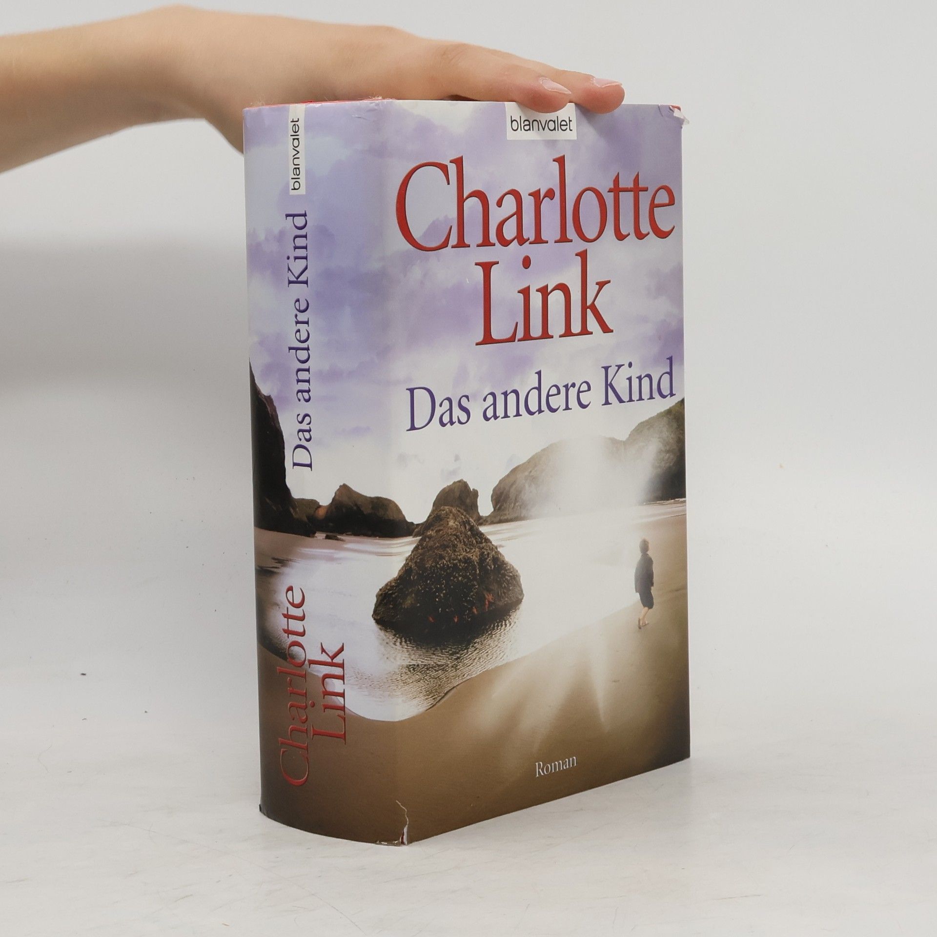 Charlotte Link Das andere Kind