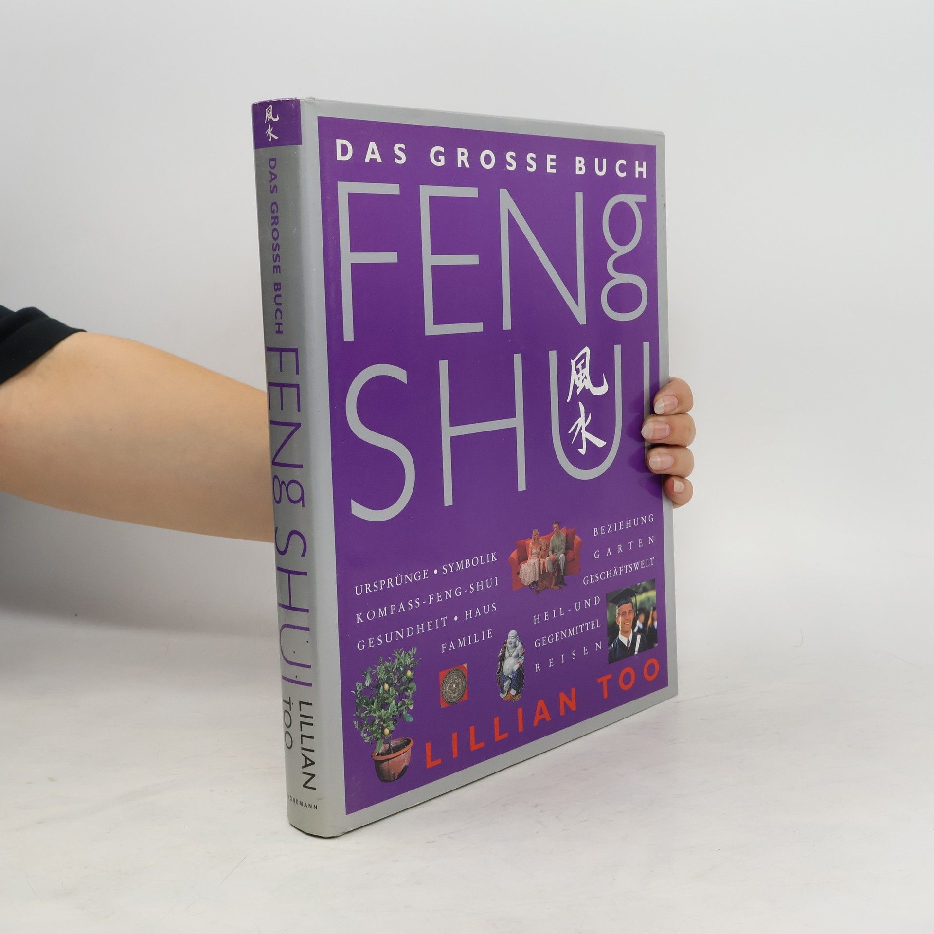 Lillian Too Das grosse Buch Feng Shui