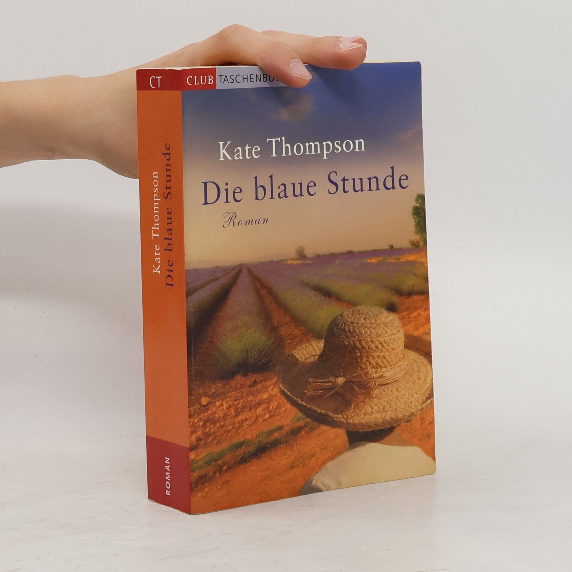 Kate Thompson Die blaue Stunde