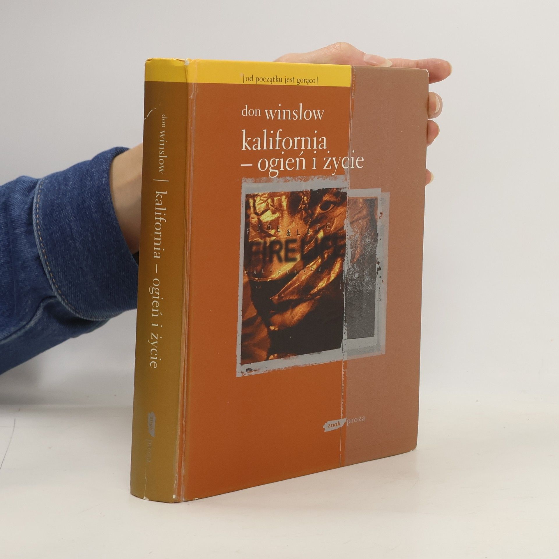 Don Winslow Kalifornia - ogień i życie