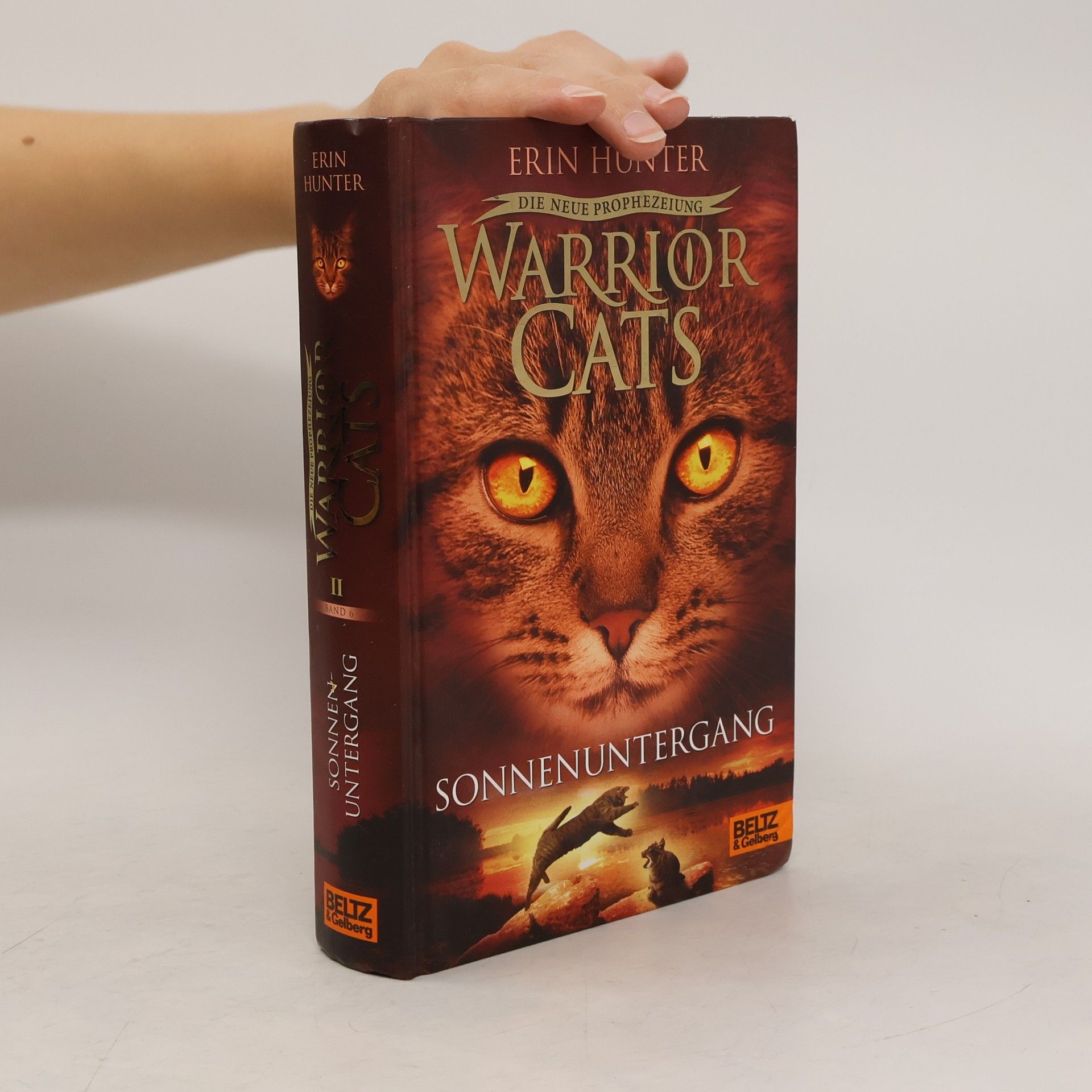 Erin Hunter Warrior Cats: Die neue Prophezeiung. Sonnenuntergang: II,6