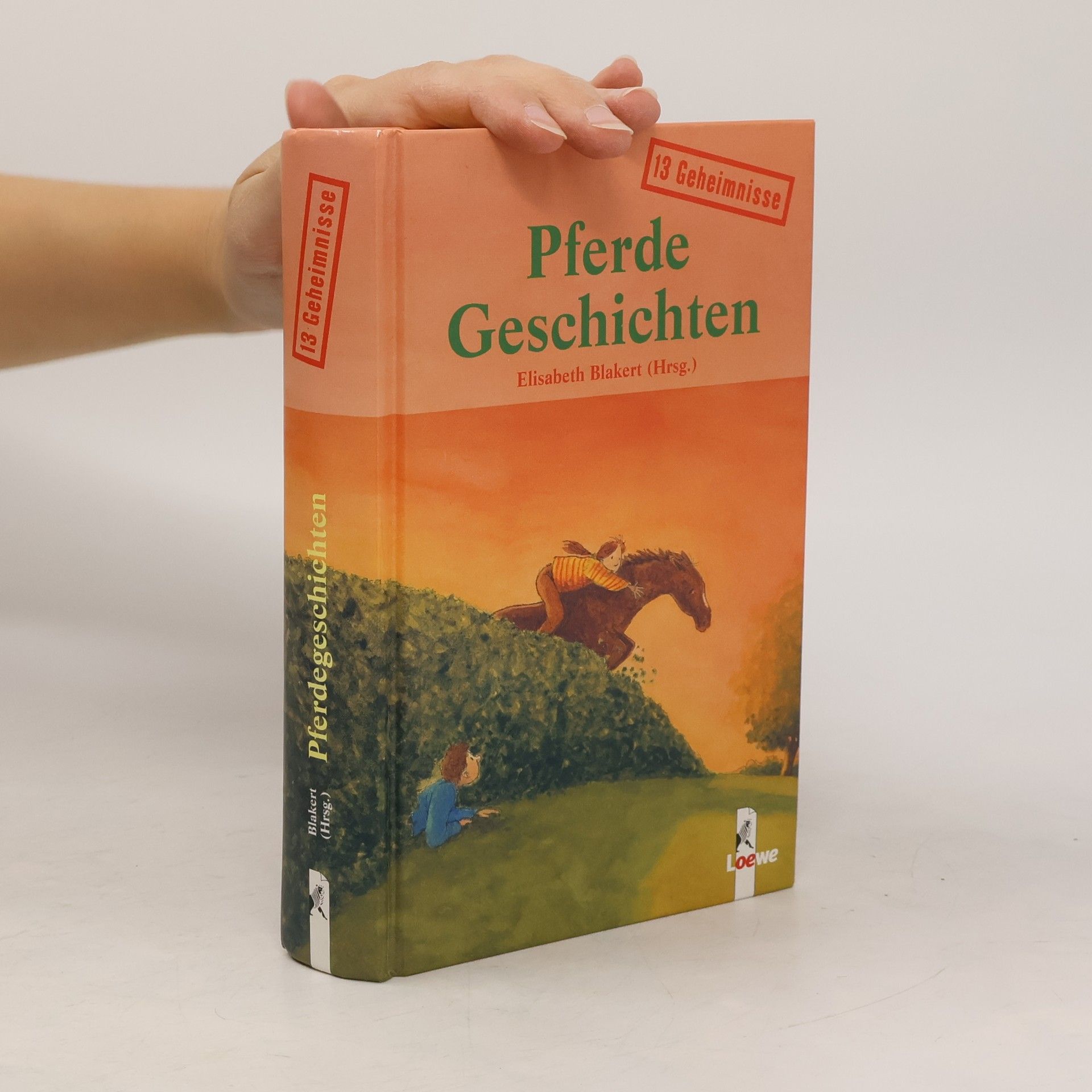 Elisabeth Blakert Pferdegeschichten. 13 Geheimnisse