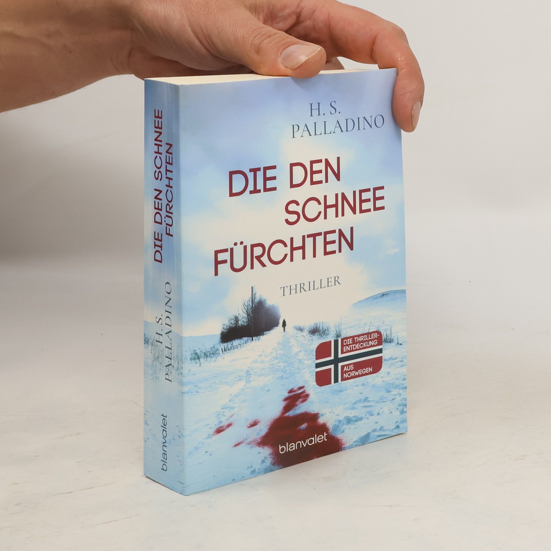 H.S. Palladino Die den Schnee fürchten