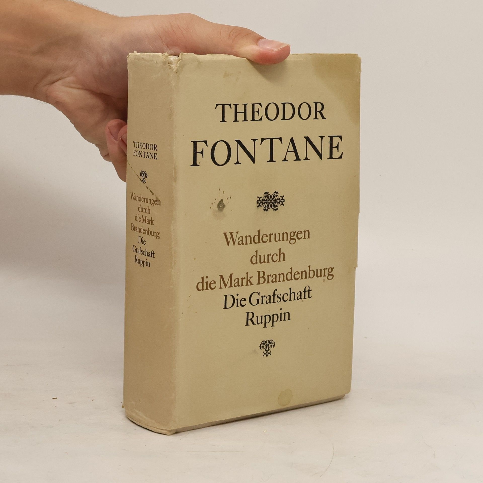 Theodor Fontane Wanderungen durch die Mark Brandenburg