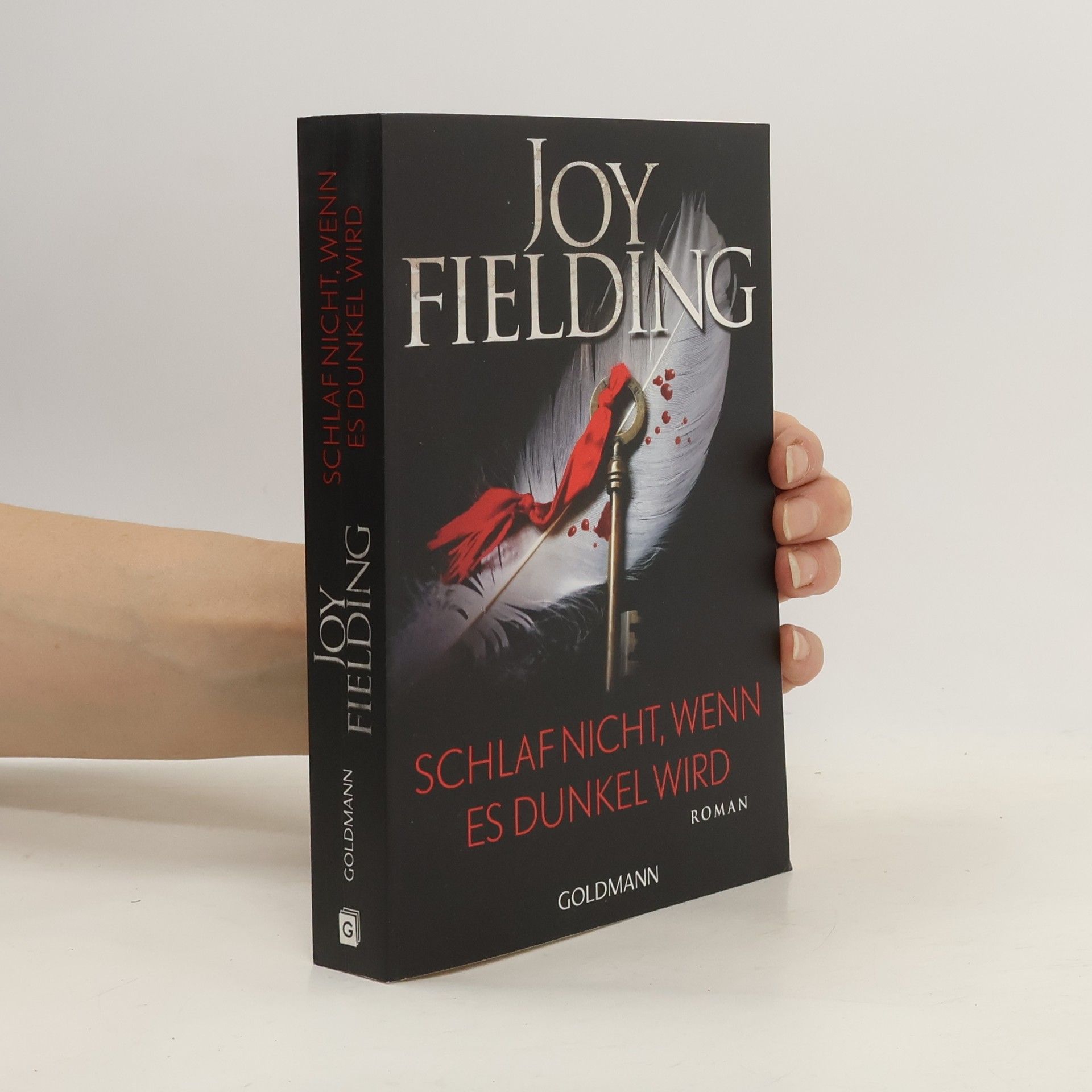 Joy Fielding Schlaf nicht, wenn es dunkel wird