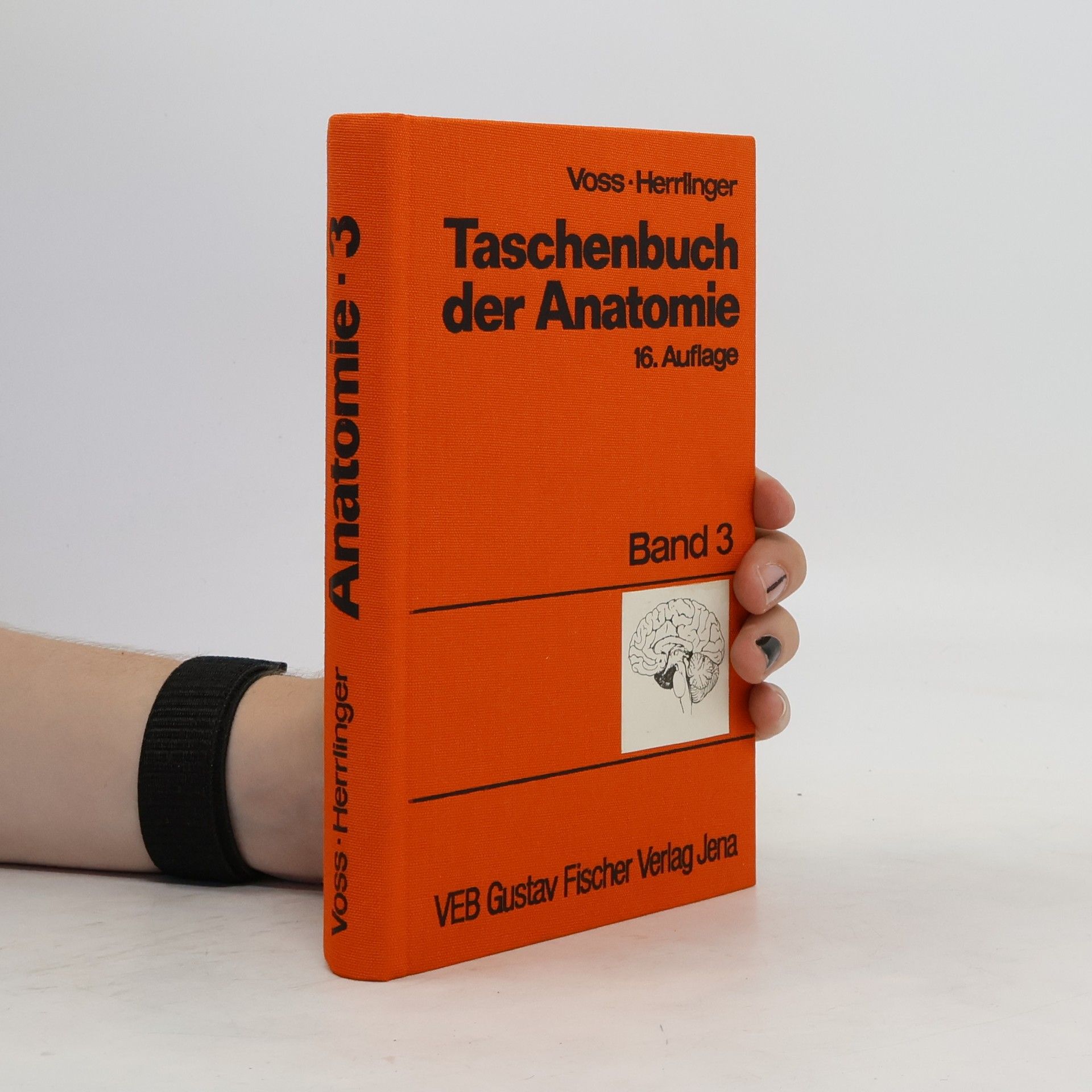 H. Voss Taschenbuch der Anatomie. Band 3