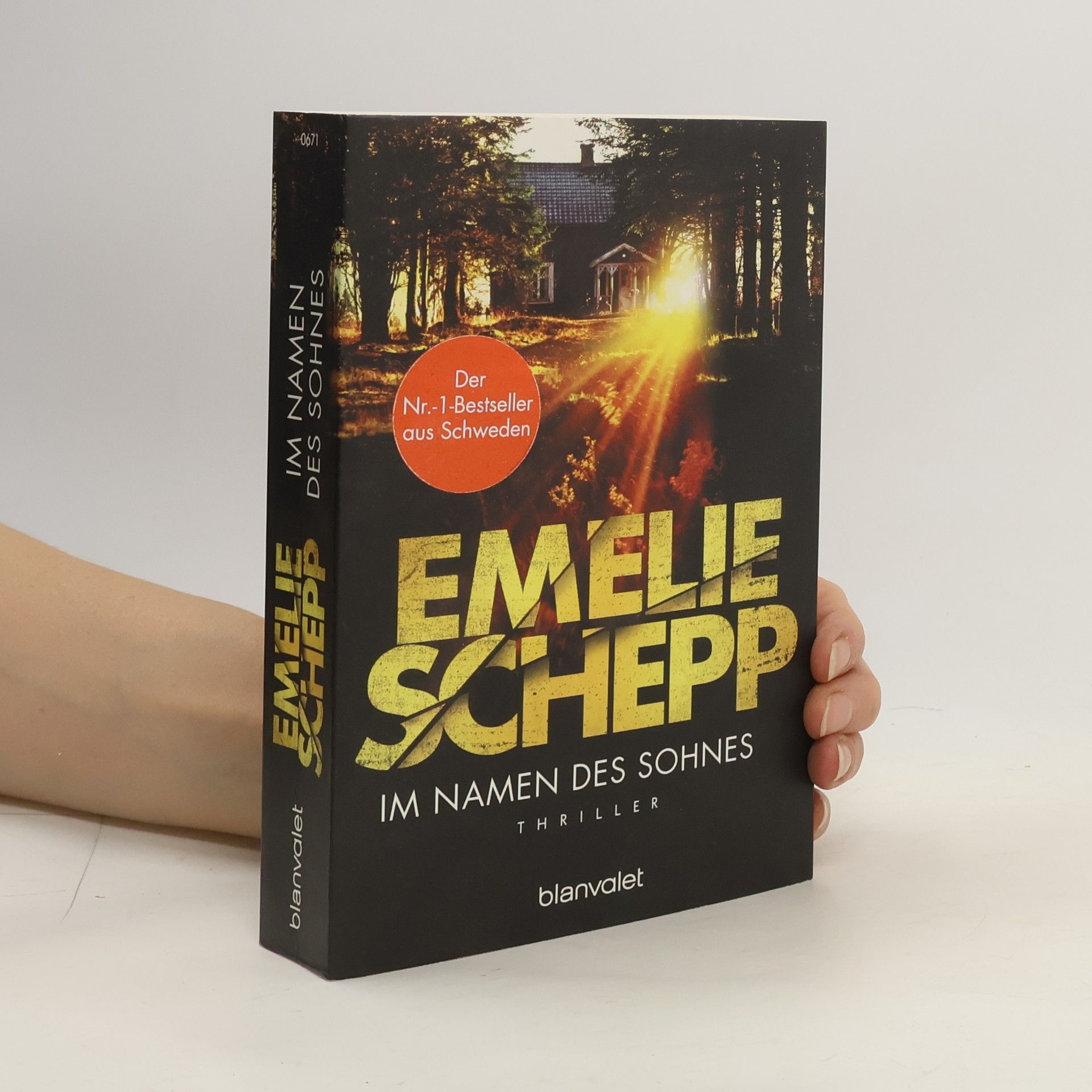 Emelie Schepp Im Namen des Sohnes